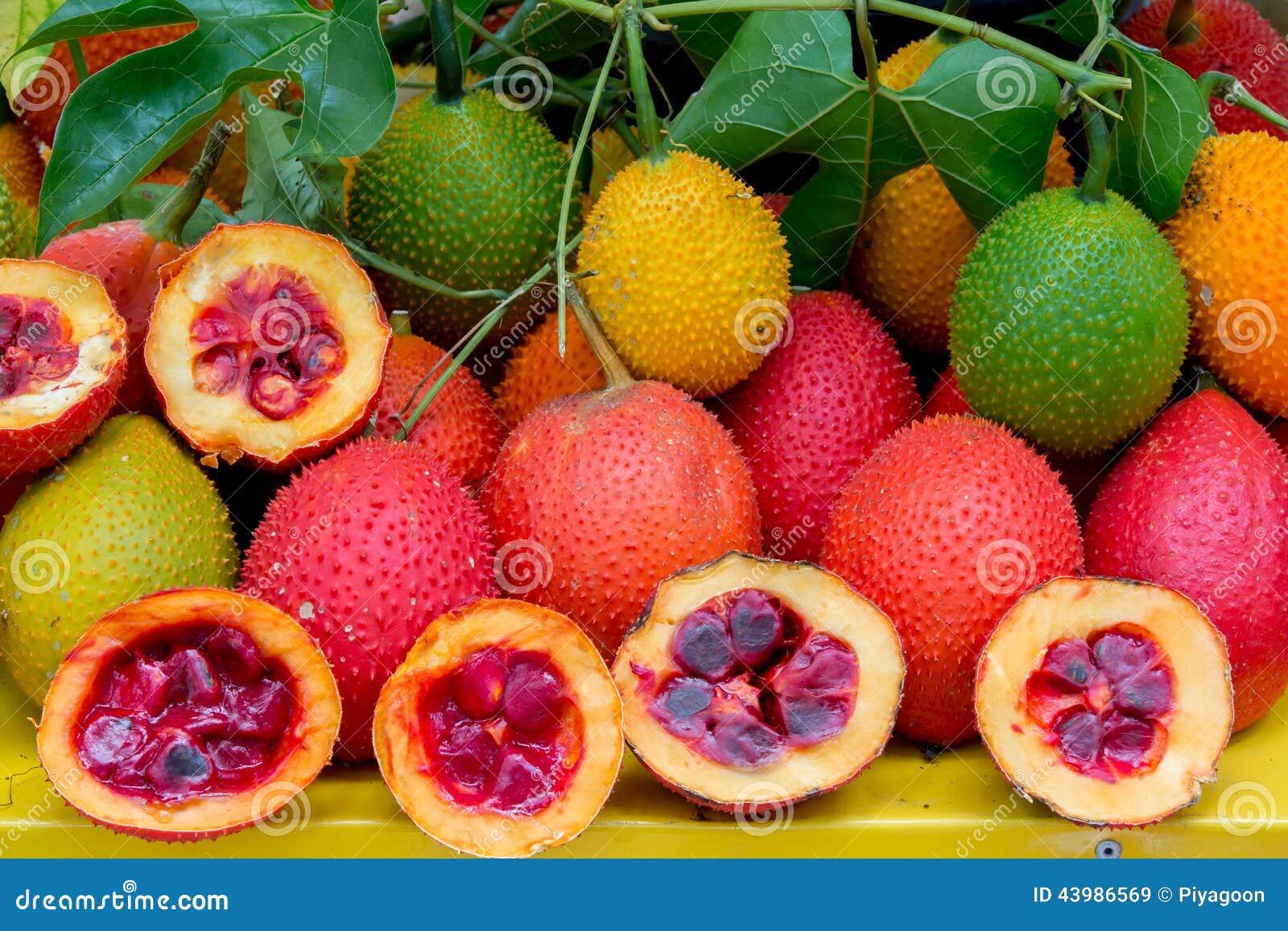 Gac fruit healthy fruit stock image. Image of fruit, peel 43986569
