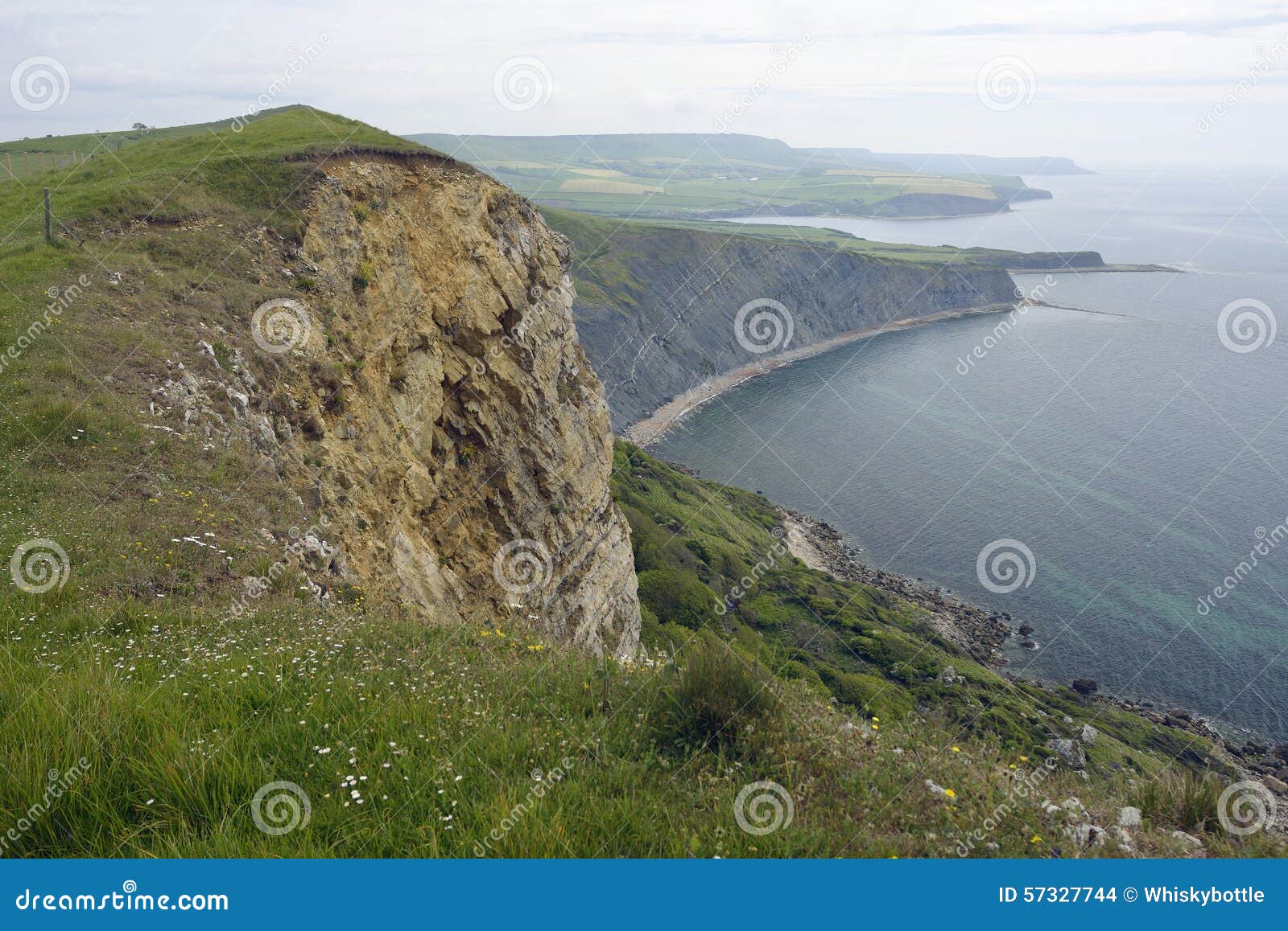 Gad Cliff & Brandy Bay stock photo. Image of coast 57327744