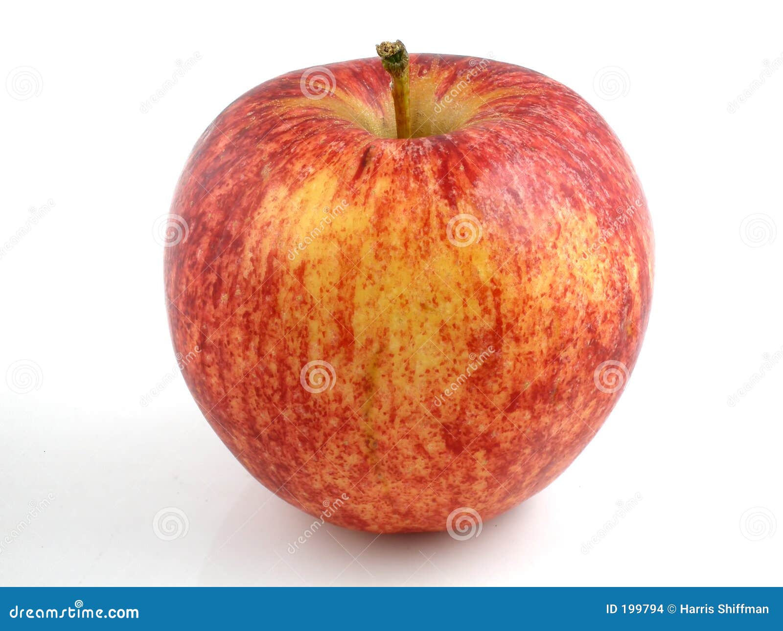 gala apple