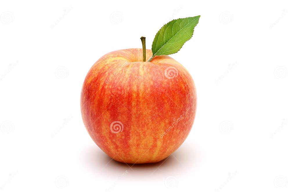 Gala Apple stock image. Image of ripe, white, food, light 26823587
