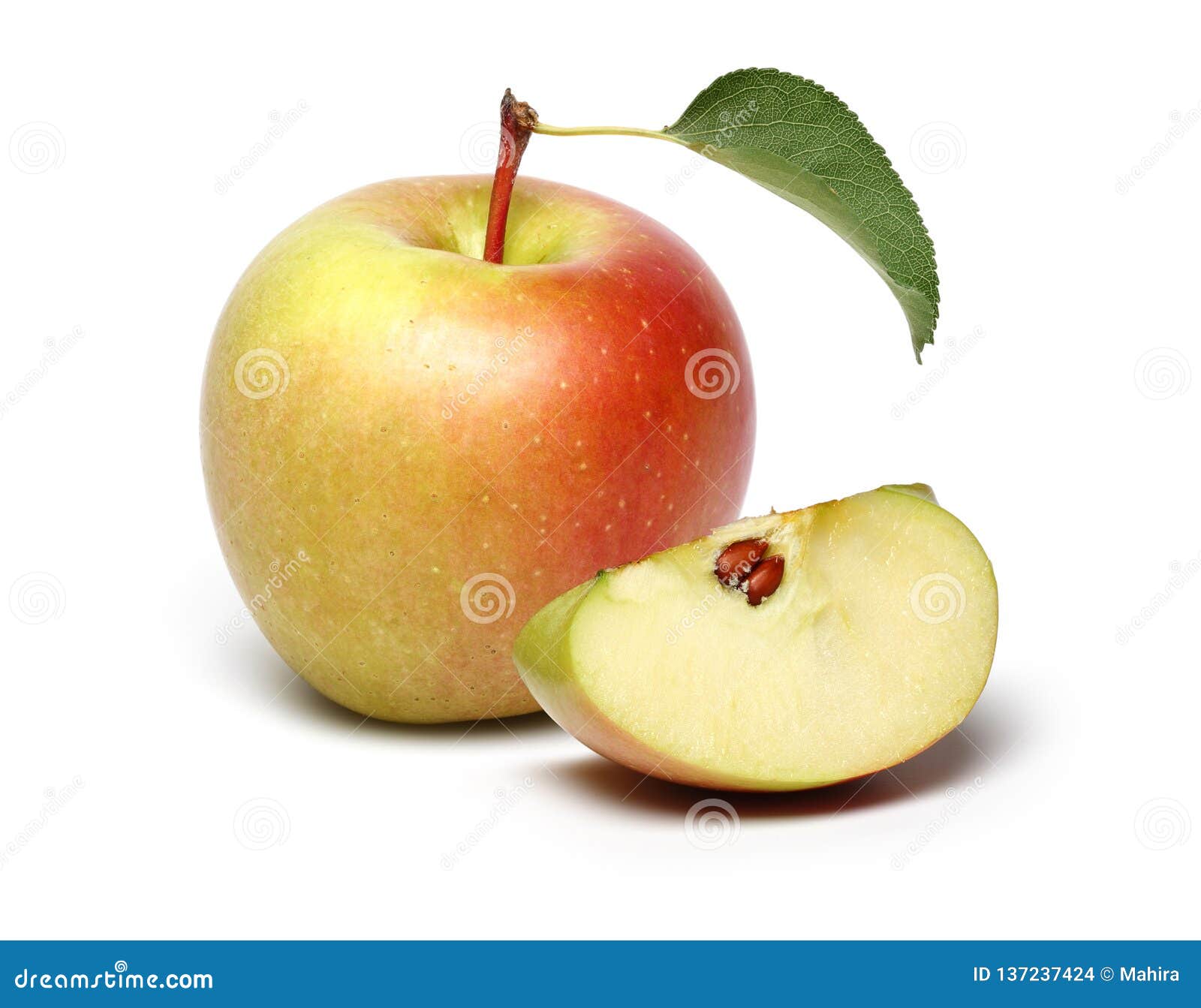 Gala Apple and Slice with Leaf Stock Photo Image of yellow, fruit