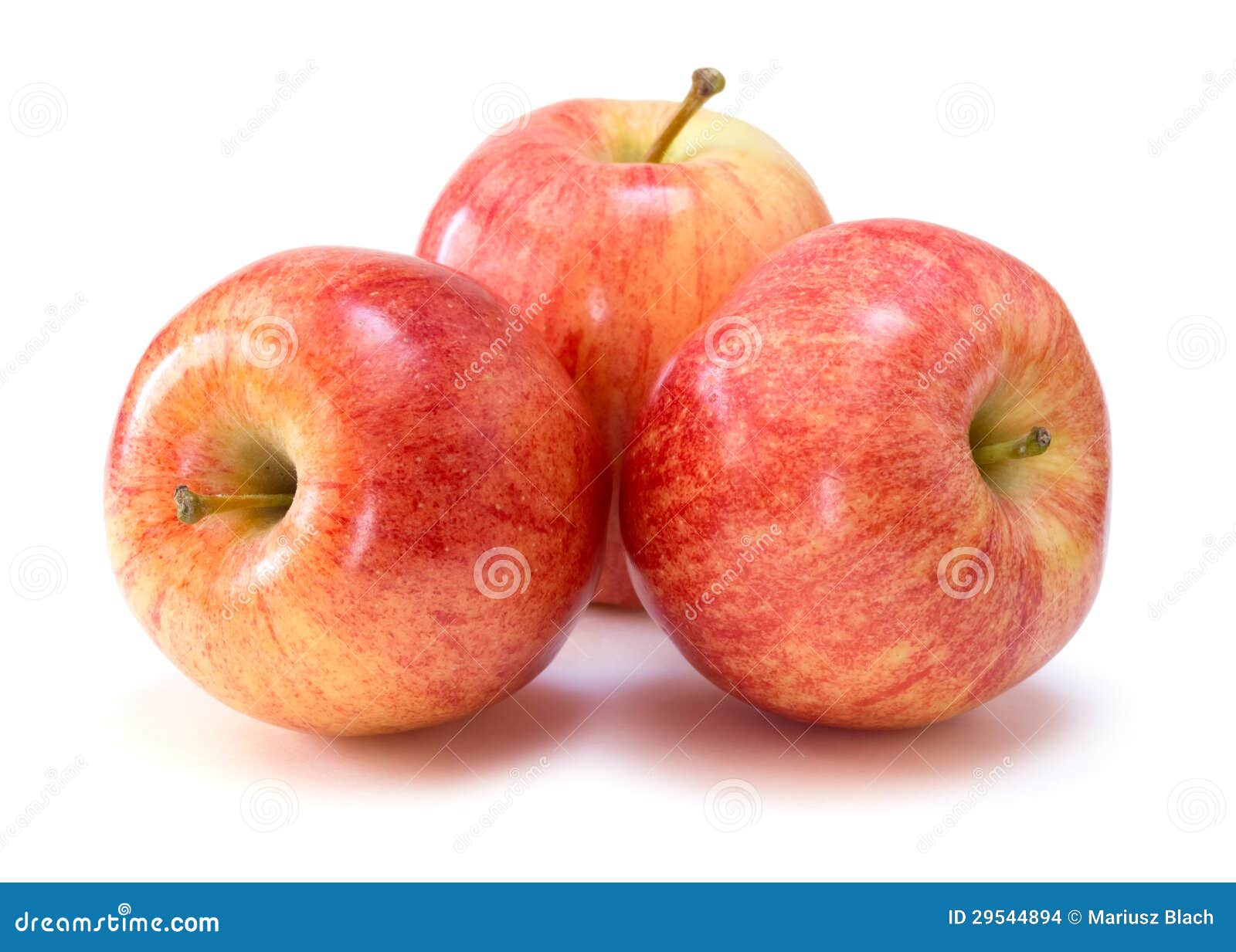 Gala apples stock photo. Image of fruit, fresh, juicy 29544894