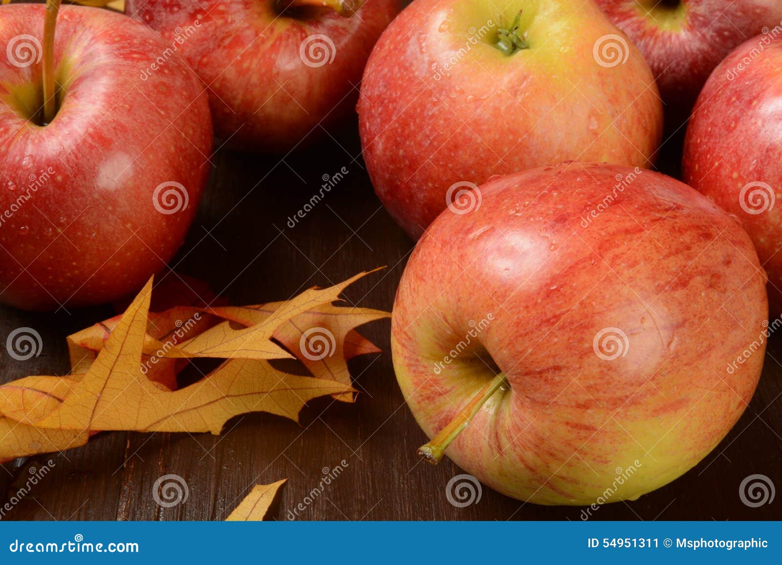 Gala Apples. Colha maçãs frescas da gala em uma tabela de madeira rústica