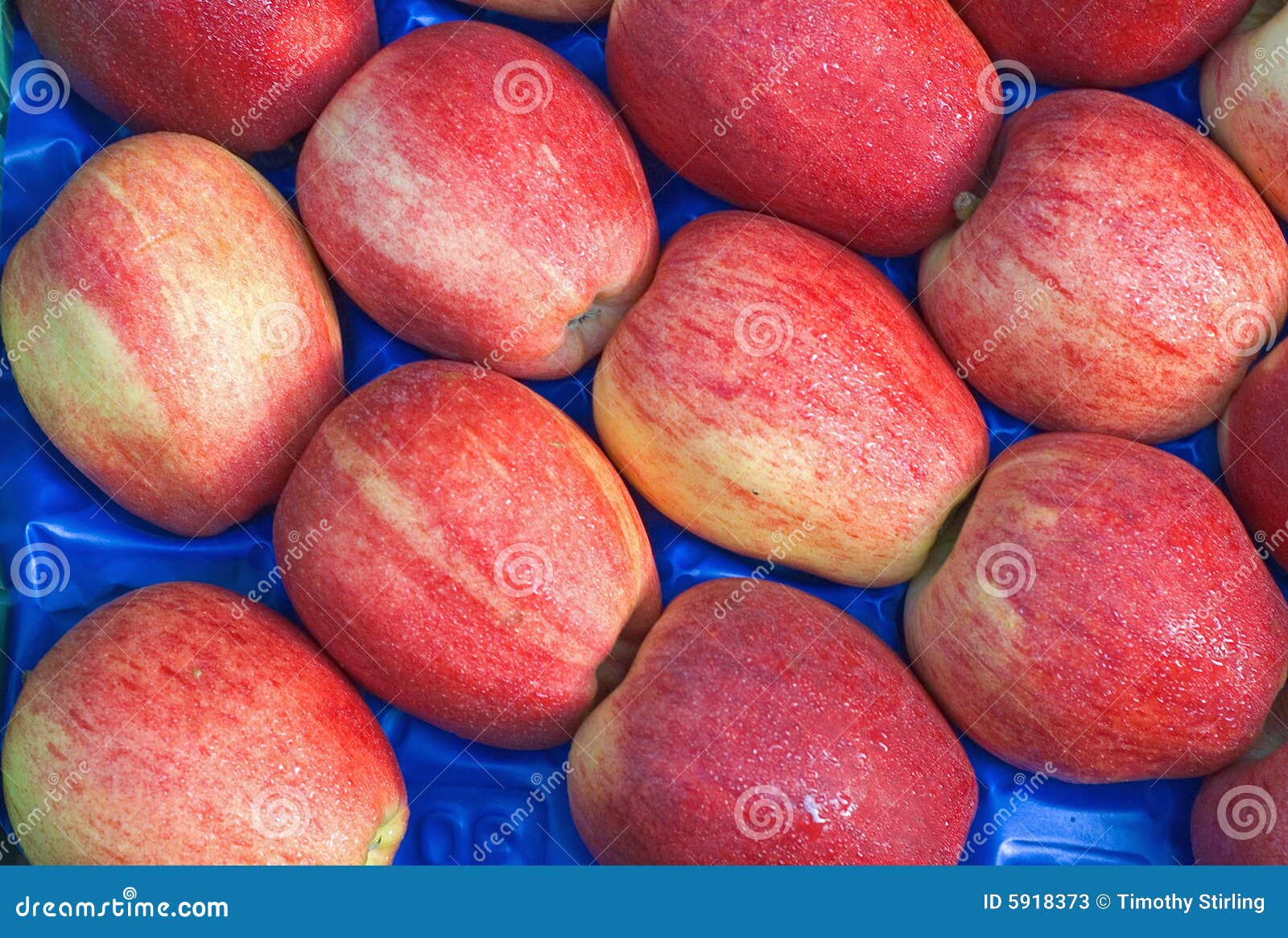 Gala Apples in MArket stock image. Image of ripe, autumn 5918373