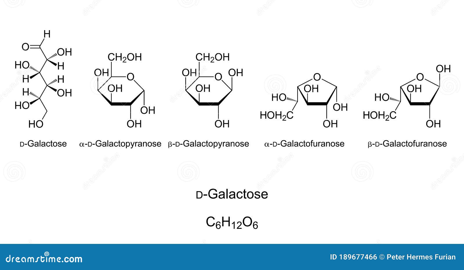 Galactose Gal Monosaccharide Chemical Structure Stock Vector Illustration Of Black Organic 189677466