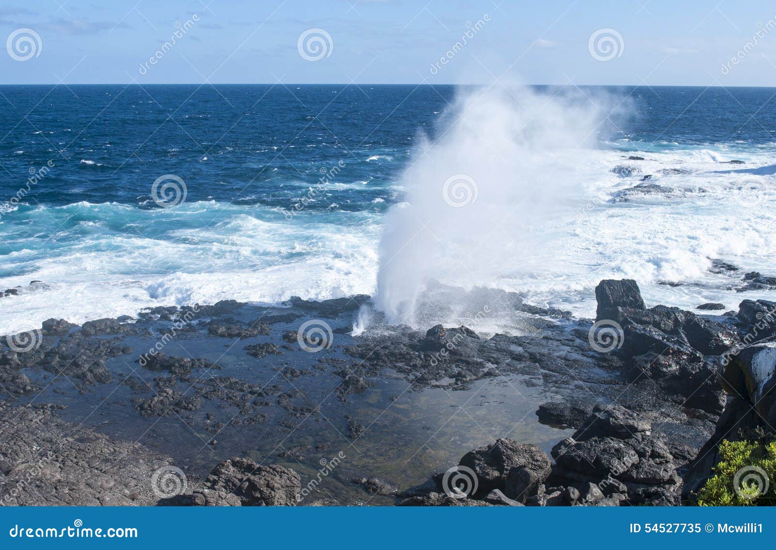 galapagos islands