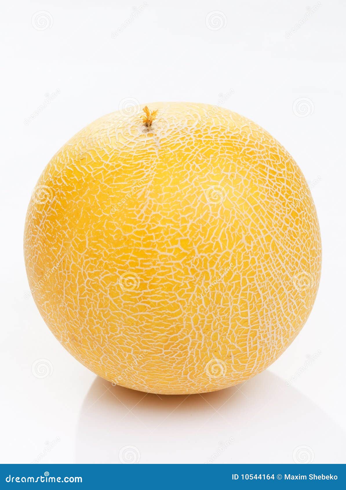 Galia melon stock photo. Image of ripe, juicy, summer 10544164