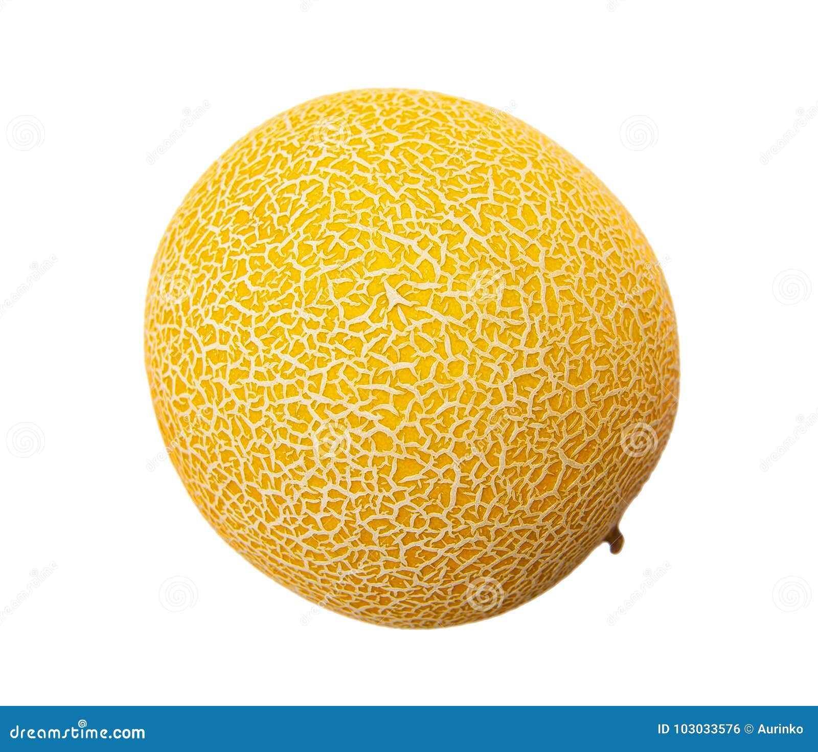 Galia melon stock photo. Image of cookbook, baby, decor 103033576