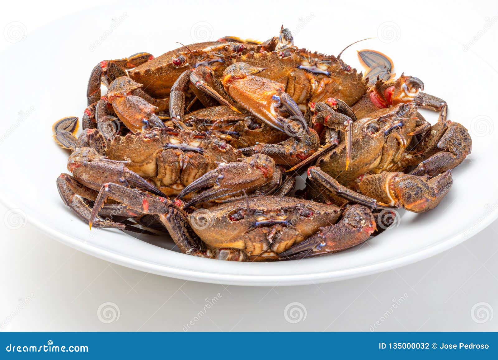 galician necoras from galicia. delicious seafood from the bay of biscay and atlantic.