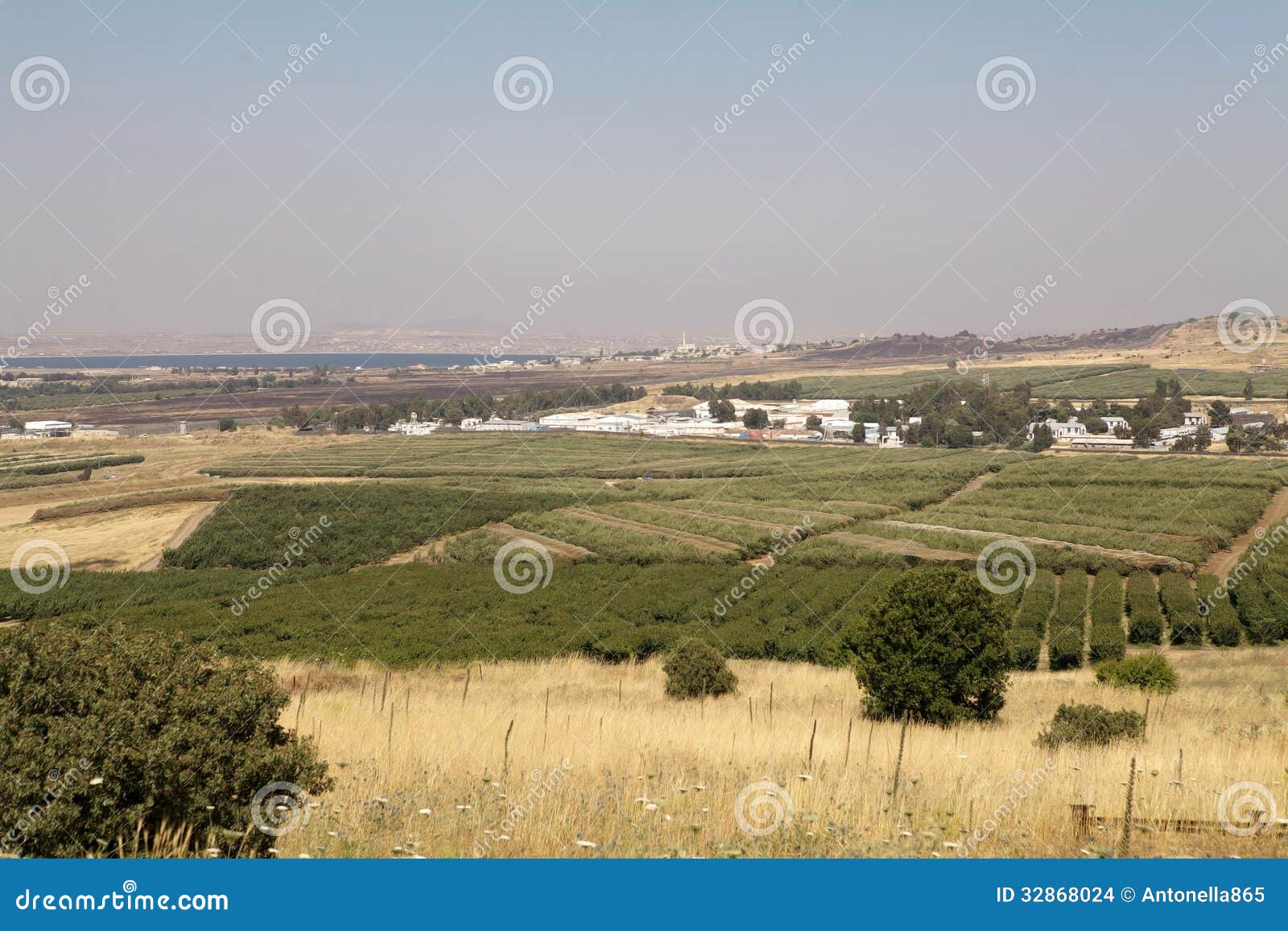 Galilee landscape stock photo. Image of syria, israel 32868024