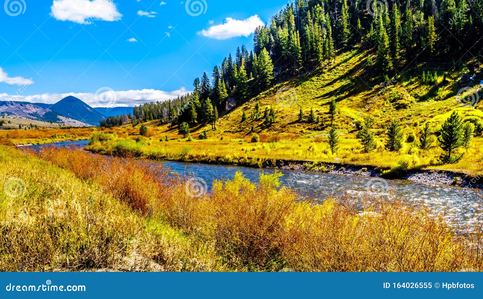 the gallatin river as it runs through the western most part of yellowstone national park