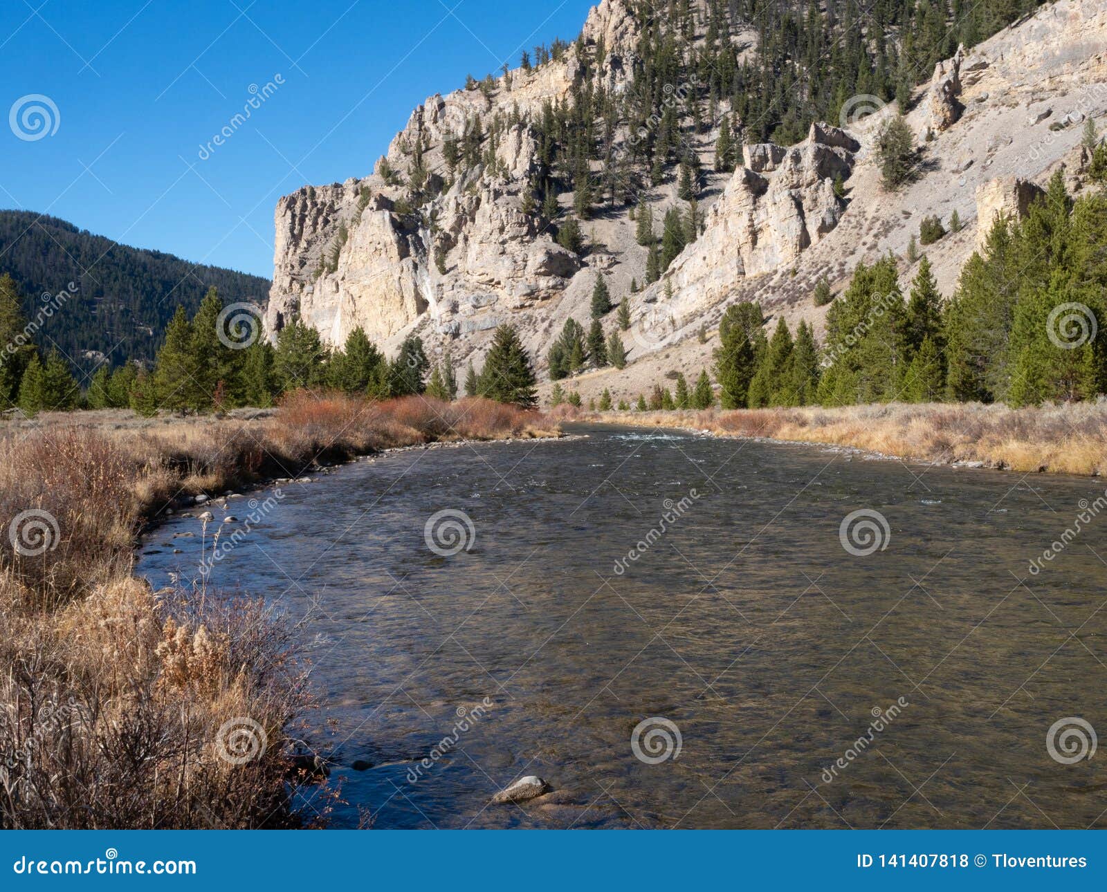 gallatin river with autumn vegetation and rocky cliffs