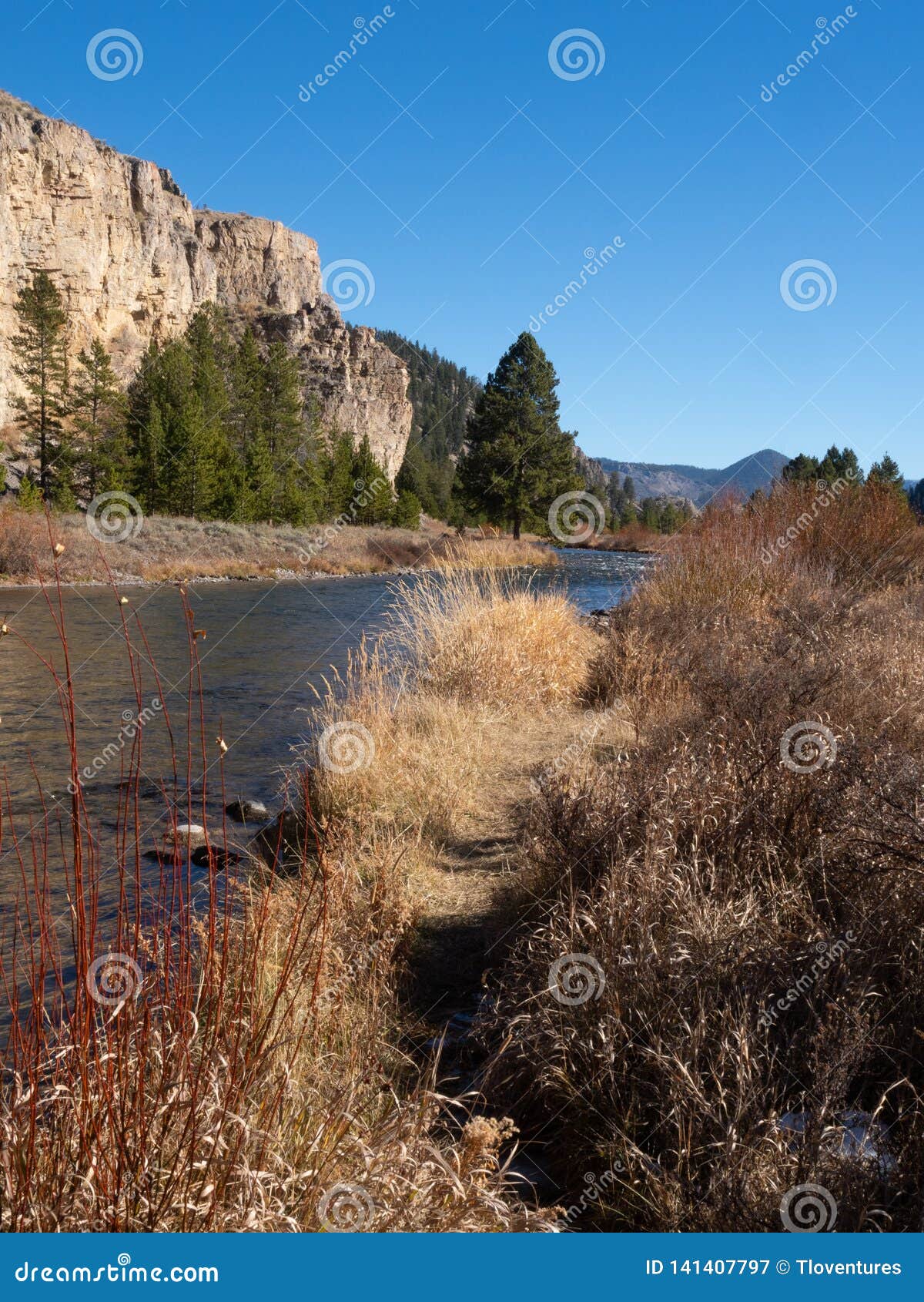 gallatin river flowing past yellowstone cliffs