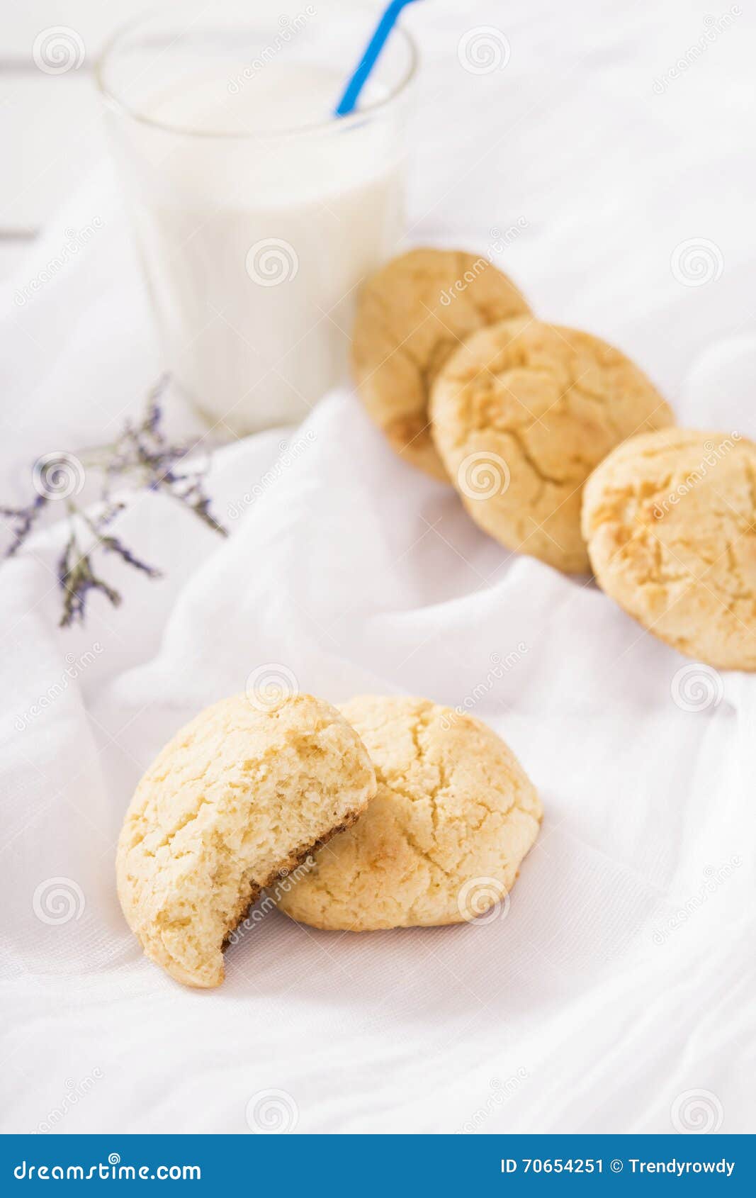 Galletas Con El Chocolate Y El Coco Blancos Imagen de archivo Imagen