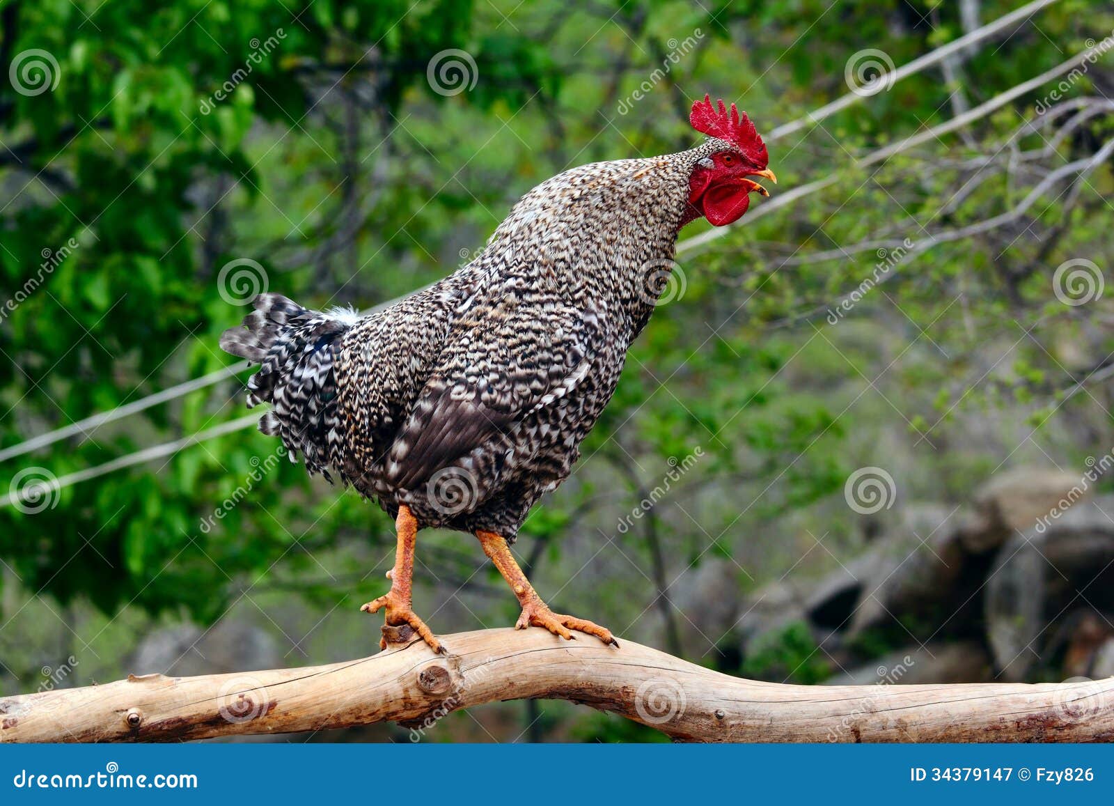 Mis 2025 mejorando 🤩, image size:1600x1157