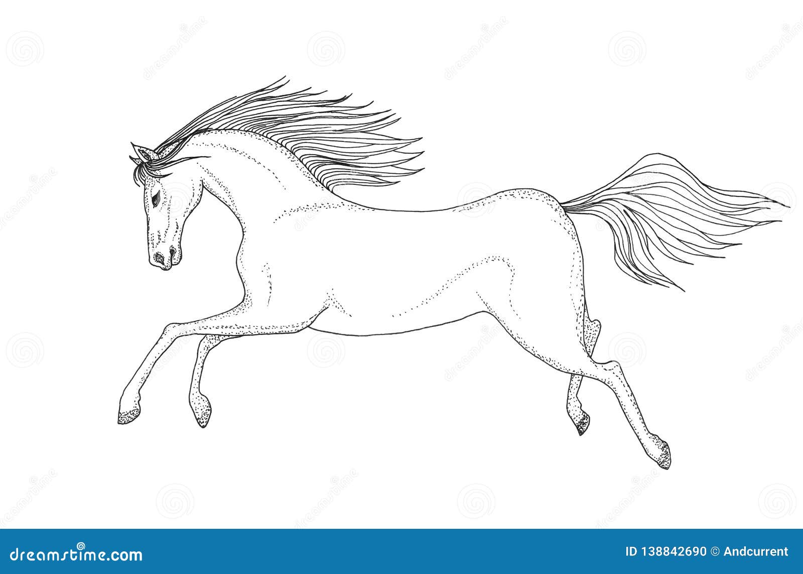 Galloping Horse. Hand Drawing Black and White Image Stock ...