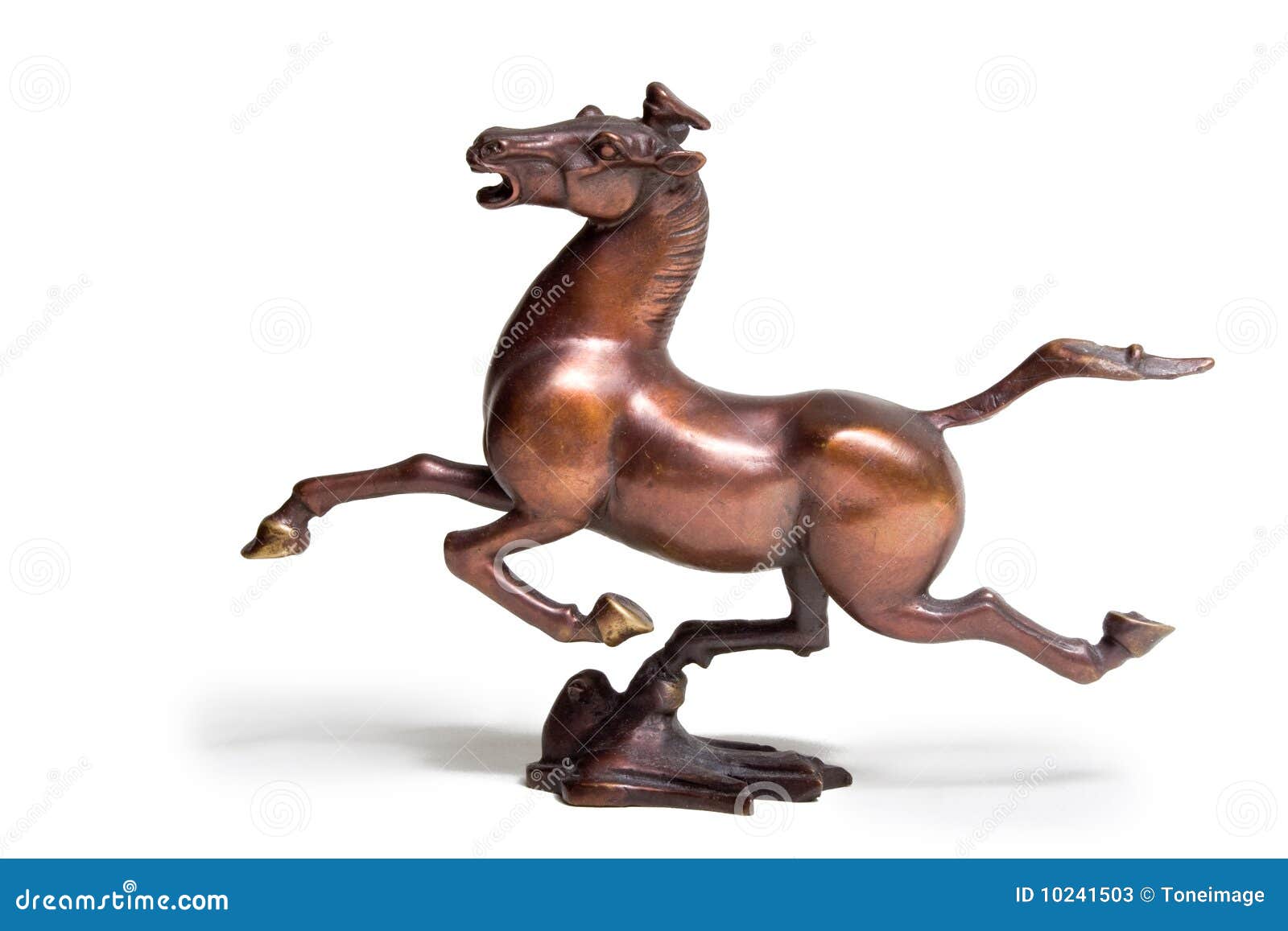 galloping horse treading on a flying swallow