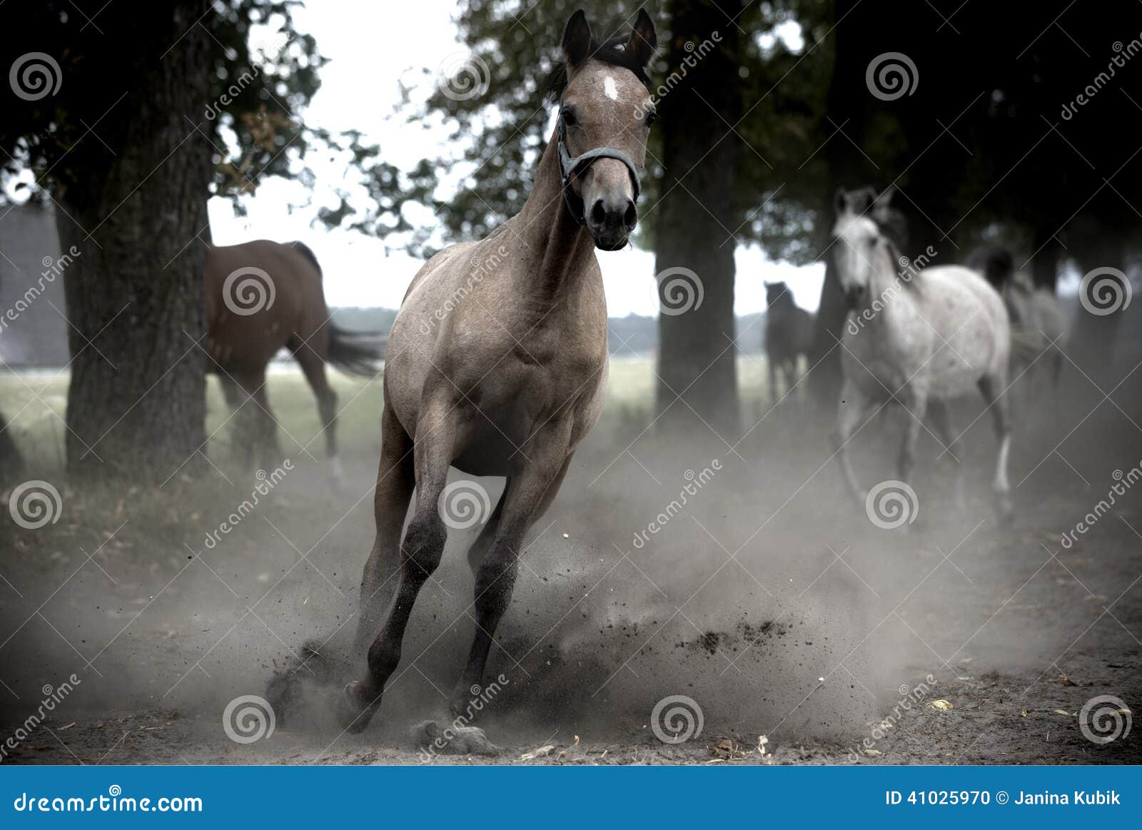 Galloping Horses Near Flights Of Steps, Subrahmanyam Shrine