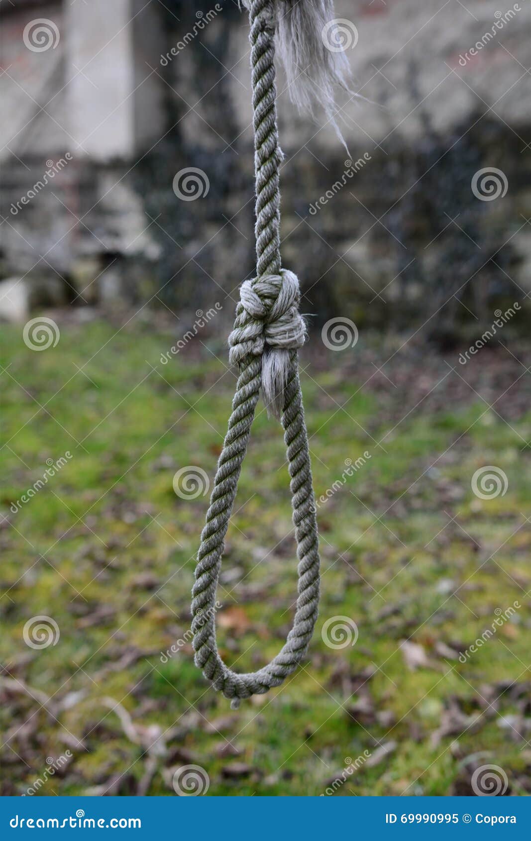 Gallows on a Tree in the Garden Stock Image Image of knot, abstract