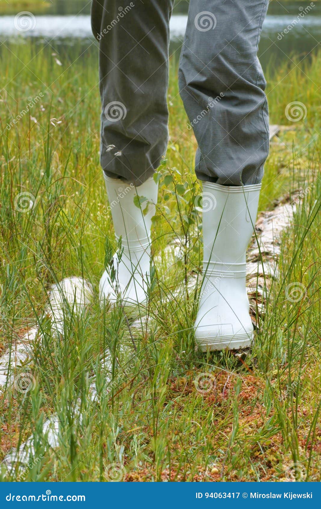 Galoshes, Woman Going in Rubber Boots in a Meadow Stock Image Image