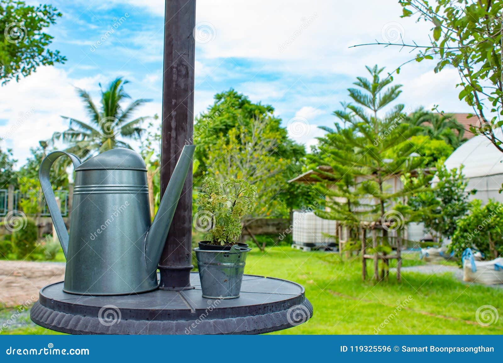 Galvanized Cans. Irrigation Water on Table. Stock Photo Image of