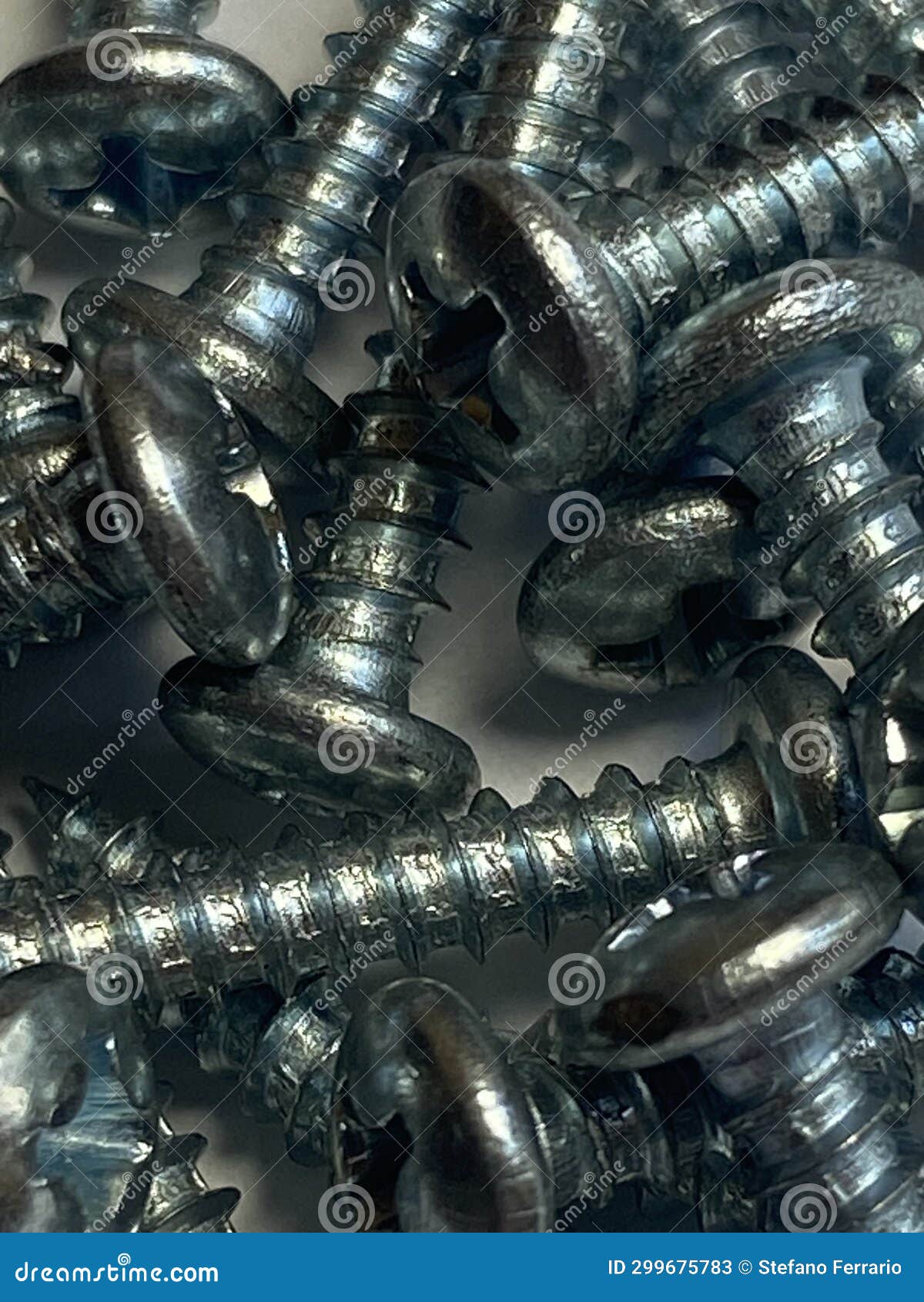 Galvanized Selftapping Screws Stock Image Image of small, tapping