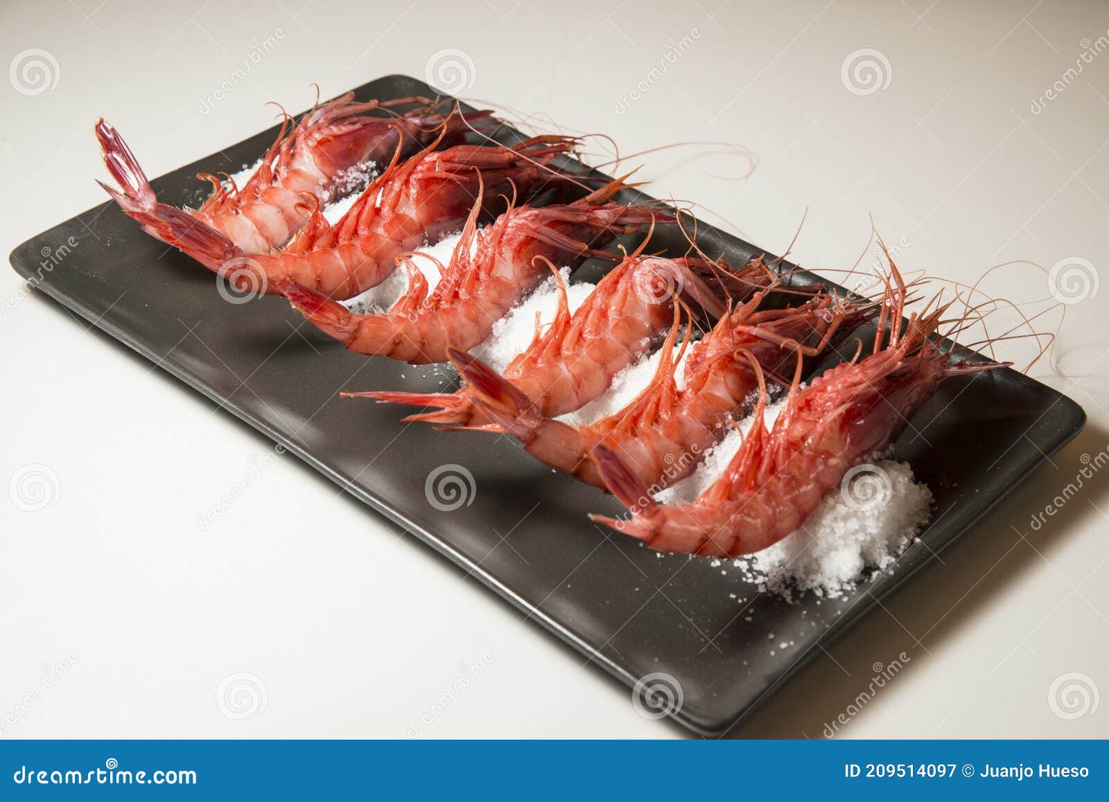 gamba cocida - cooked prawn