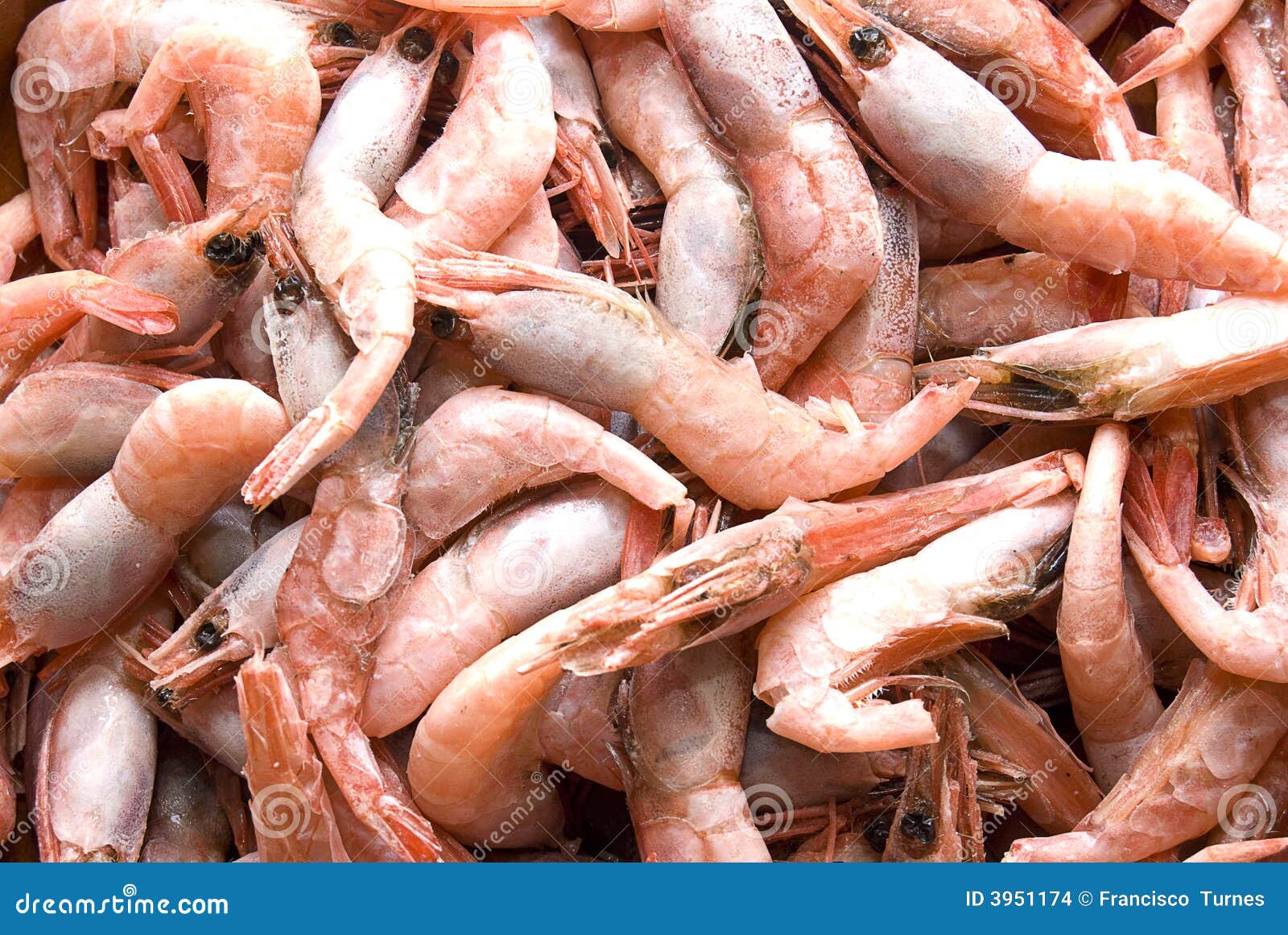 Gambas congeladas foto de archivo. Imagen de bebida, colesterol - 3951174