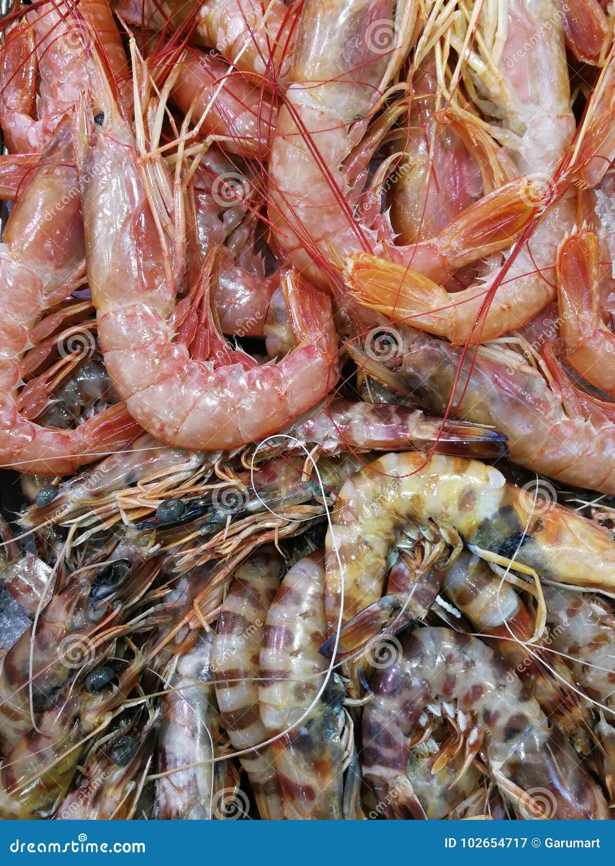 Gambas y camarones imagen de archivo. Imagen de aislado 102654717