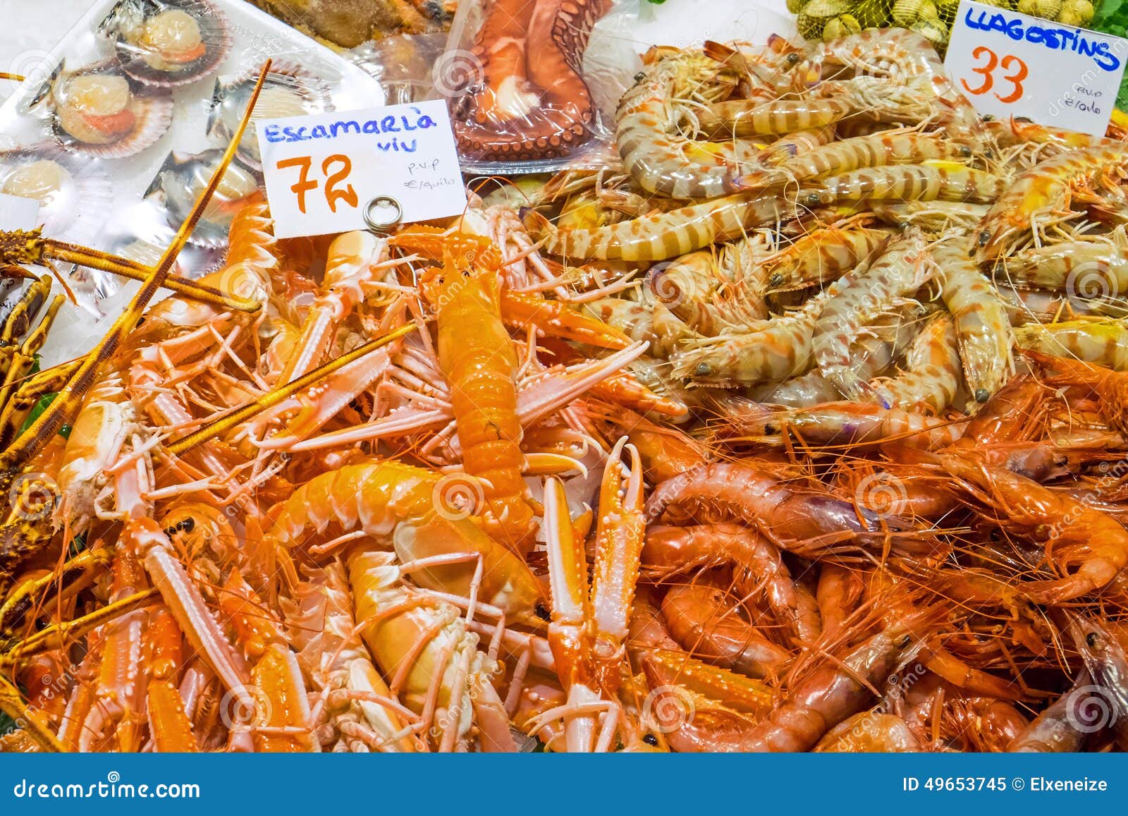Gambas Y Camarones Para La Venta Imagen de archivo Imagen de enorme, ostras 49653745