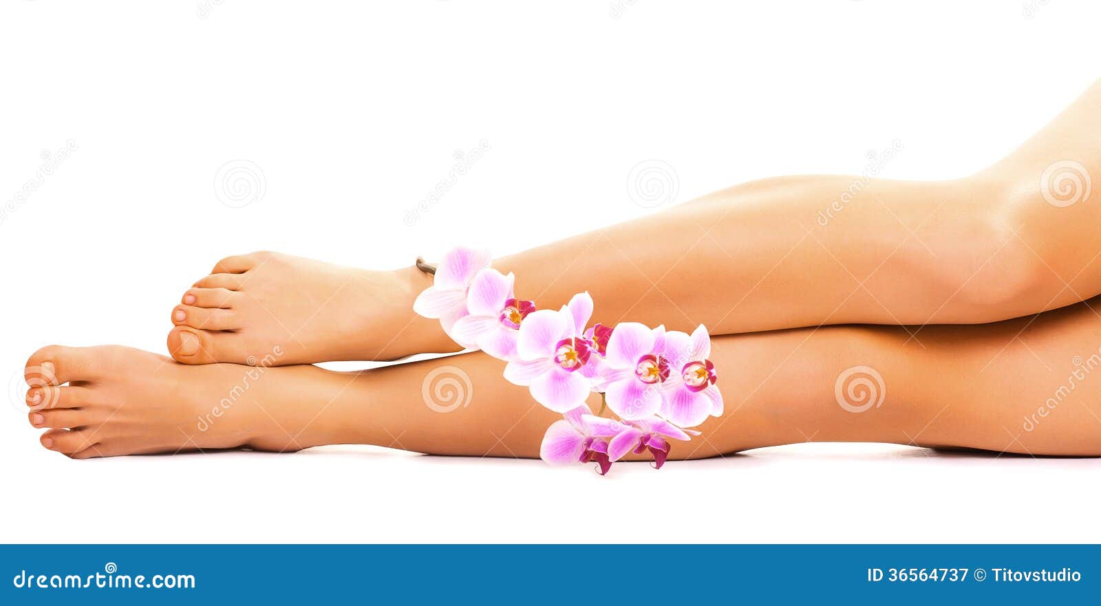 Gambe femminili con il fiore dell'orchidea su bianco. Le gambe femminili con l'orchidea fioriscono su fondo bianco