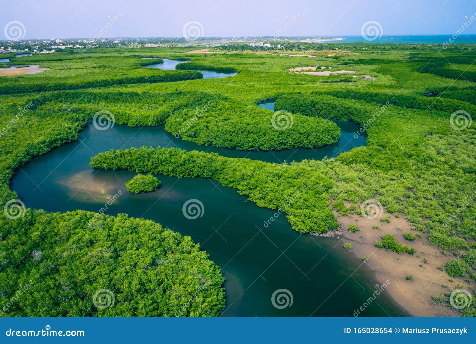 Mangroves. Aerial View of Forest Gambia. Photo Made by Drone from Above. Africa Natural Landscape Stock Photo - Image of african, green: 165028654