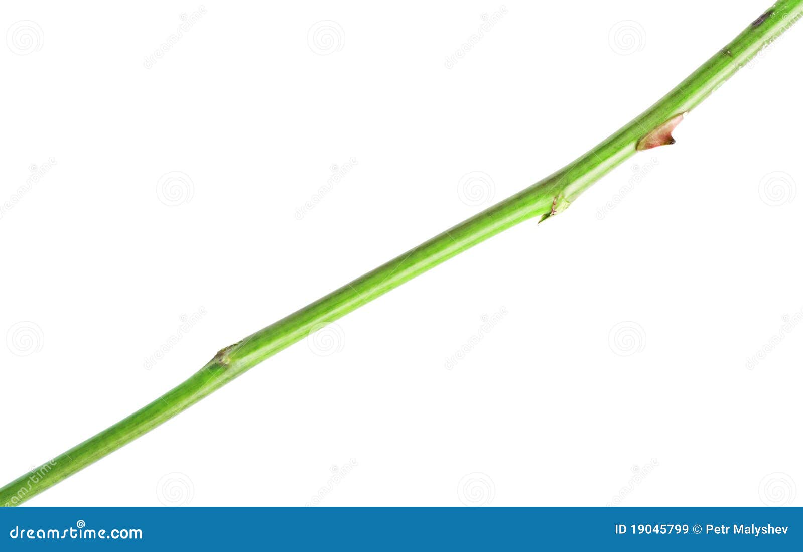 Ami Da Pesca Con Gambo Lungo Da 100 Pezzi Ami Da Pesca Big Game In Acciaio Inossidabile Taglia 1/0 2/0 3/0 4/0 5/0 6/0 7/0 8/0 9/0 10/0