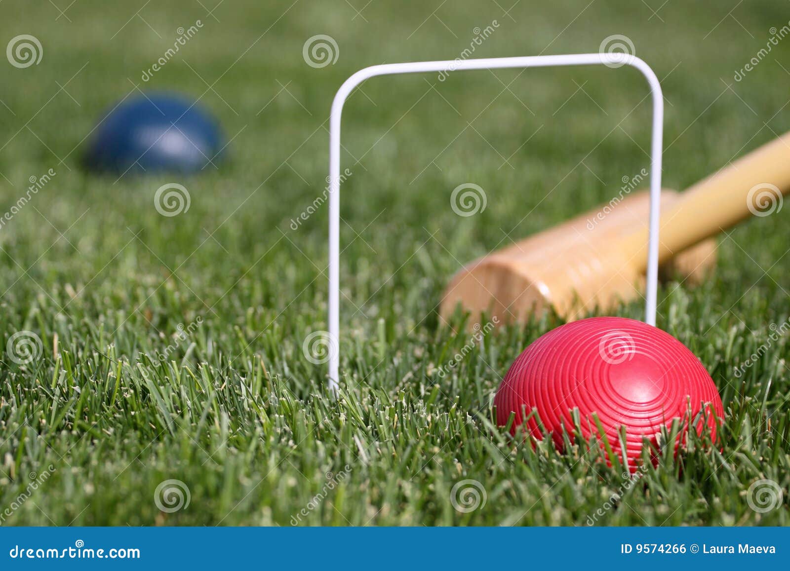 Game of Croquet Red and Blue Ball Stock Photo Image of enjoyment
