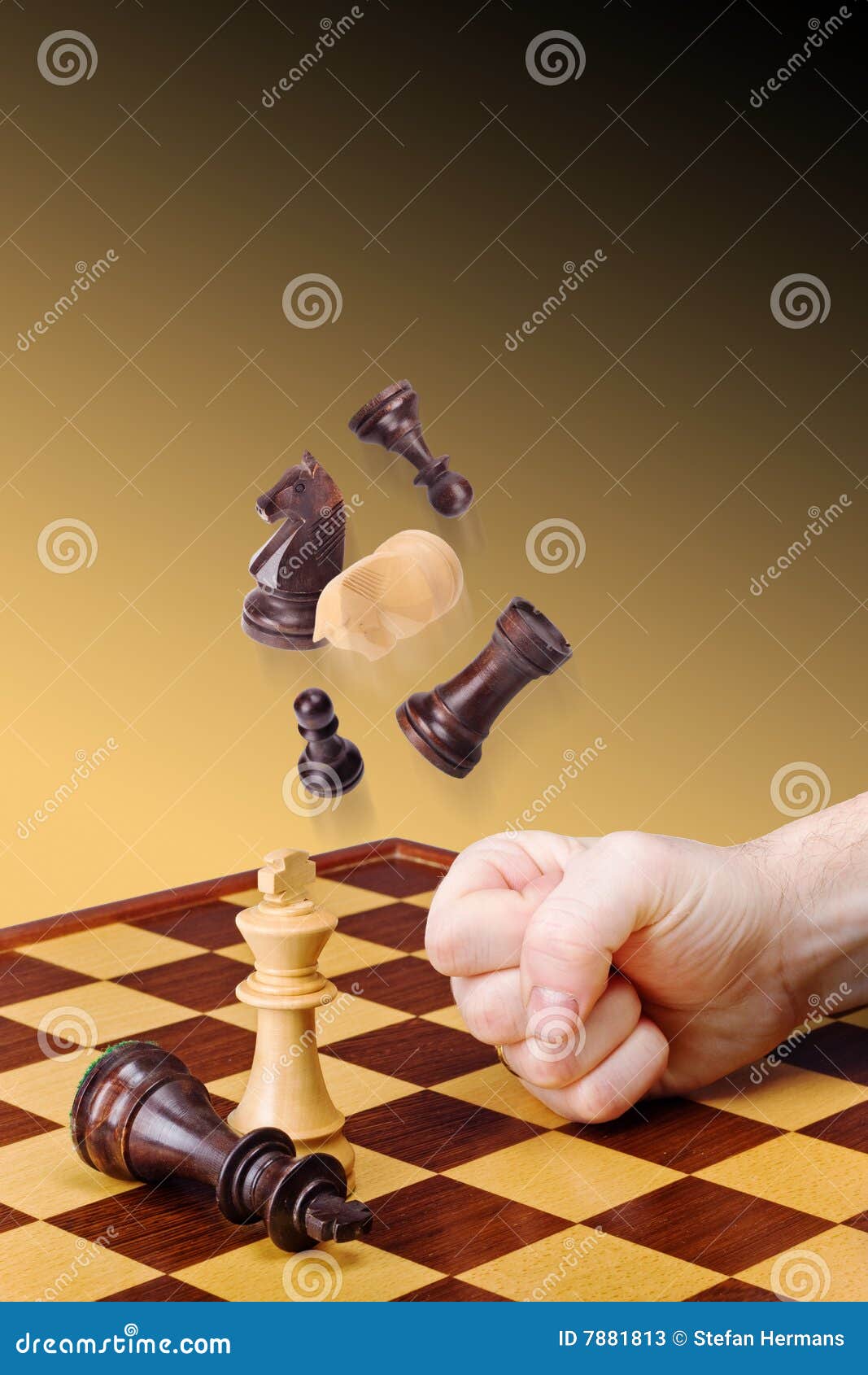 Game lost stock image. Image of concept, chessboard, loser 7881813