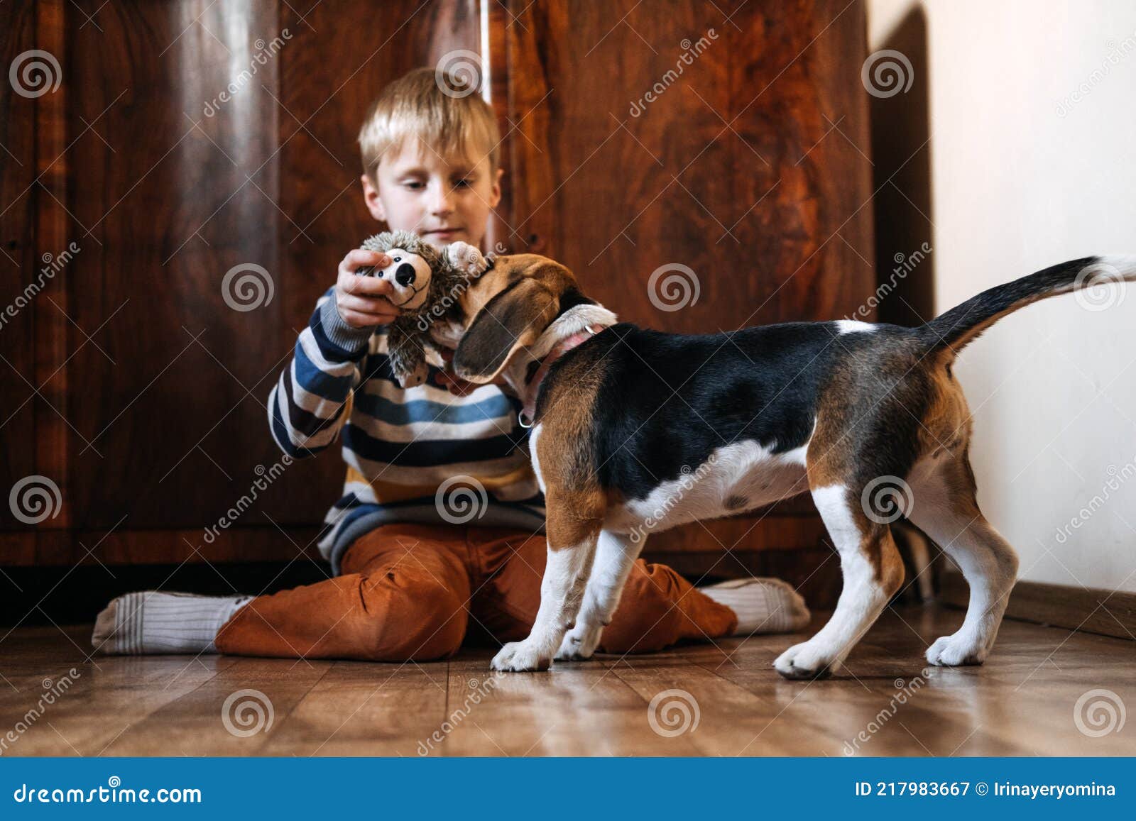 how do you entertain a puppy indoors