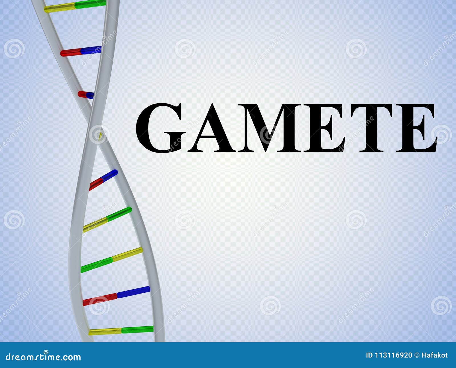 GAMETE - genetic concept stock illustration. Illustration of fertilization - 113116920