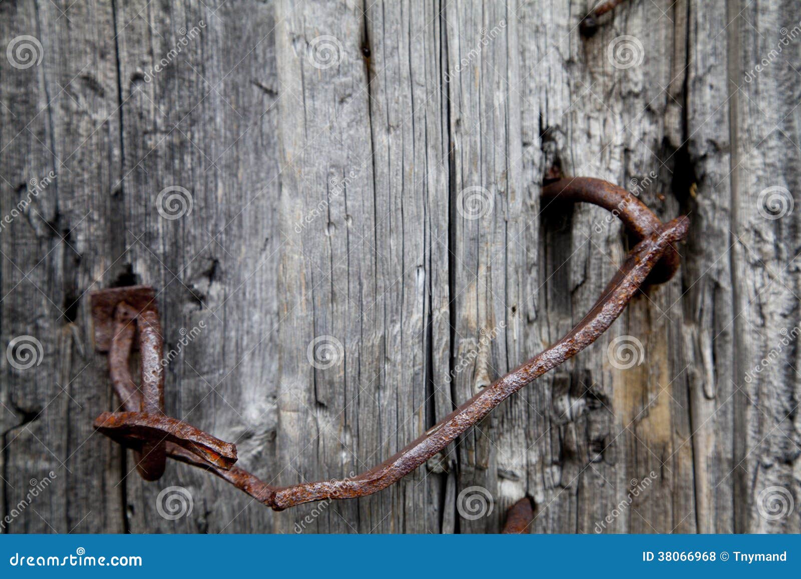 Gamla Rusty Door Handle på gammal sliten trädörr