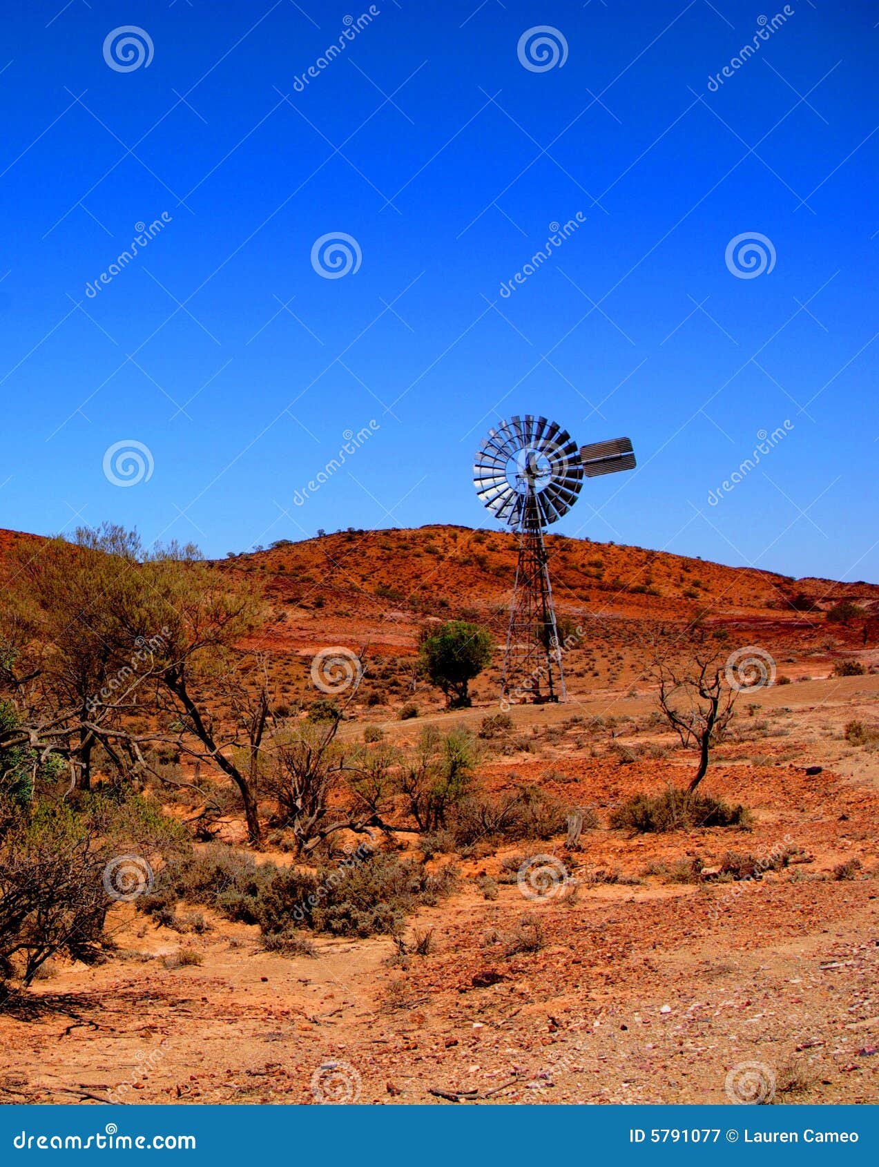 gammon ranges windmill