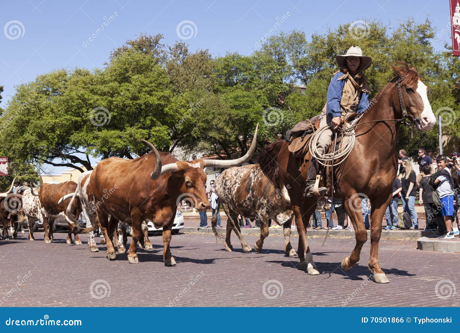 Ganado Y Vaqueros Fort Worth Foto editorial Imagen de caballo