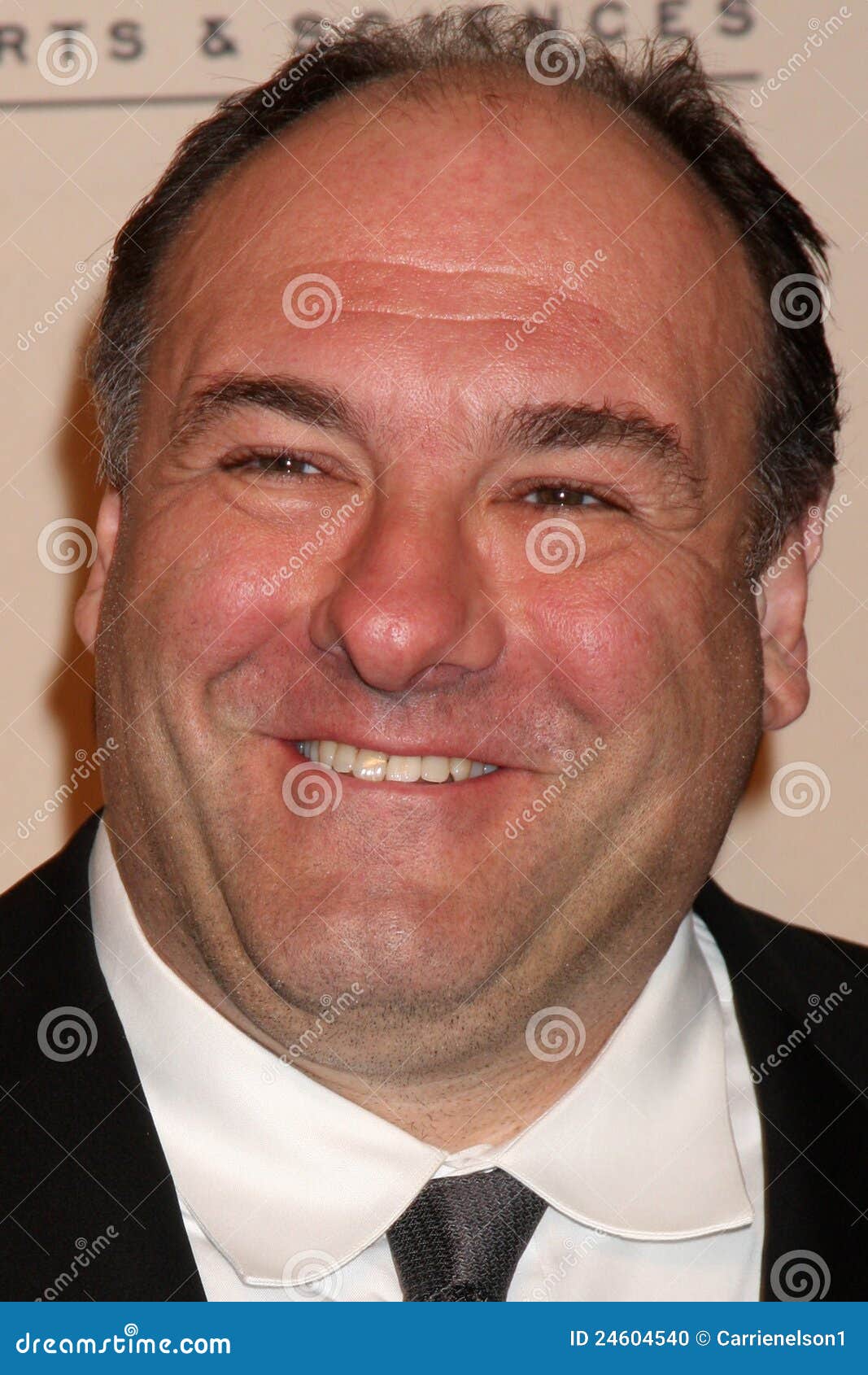 Gandolfini james redaktionell foto. Bild av james, kunna 24604540