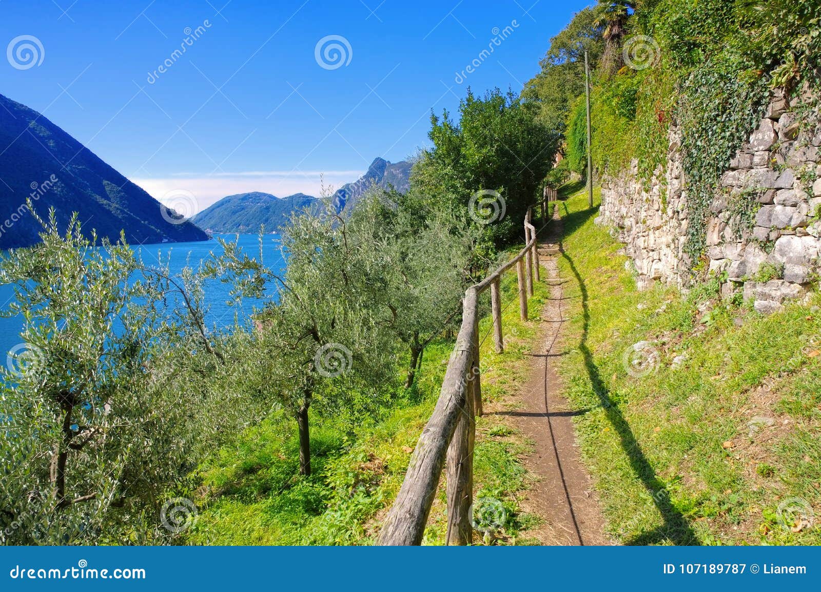 gandria sentiero dell`olivo on lake lugano