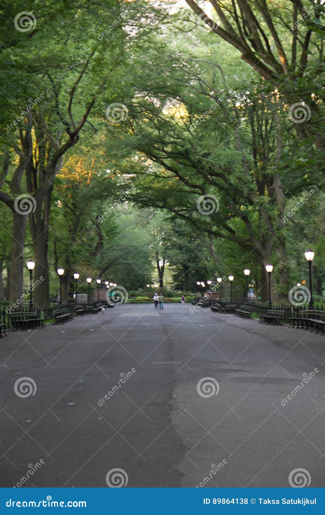 Gang onder de schaduw bij Central Park met licht in de zomer, New York