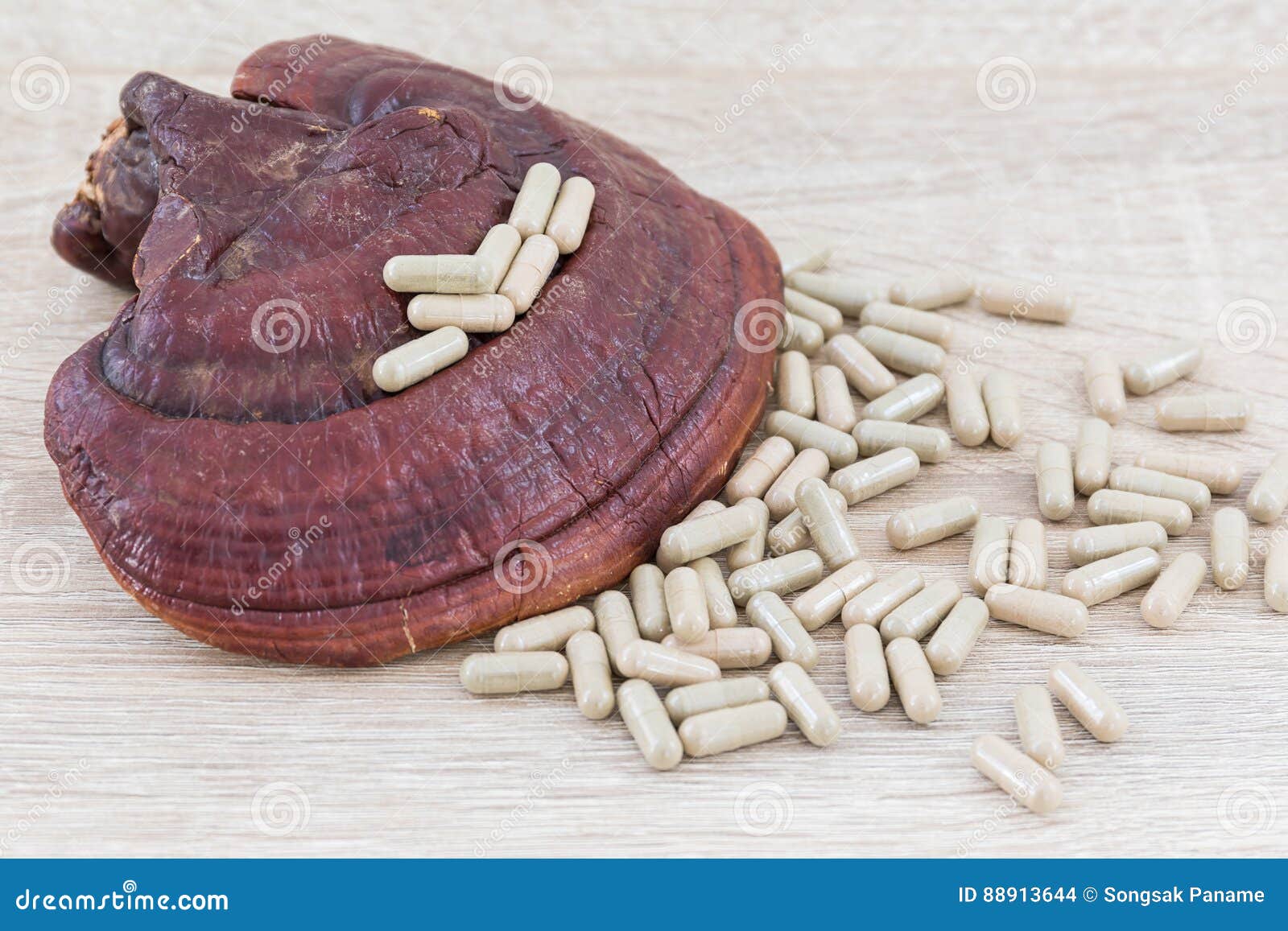 ganoderma lucidum capsule - ling zhi mushroom