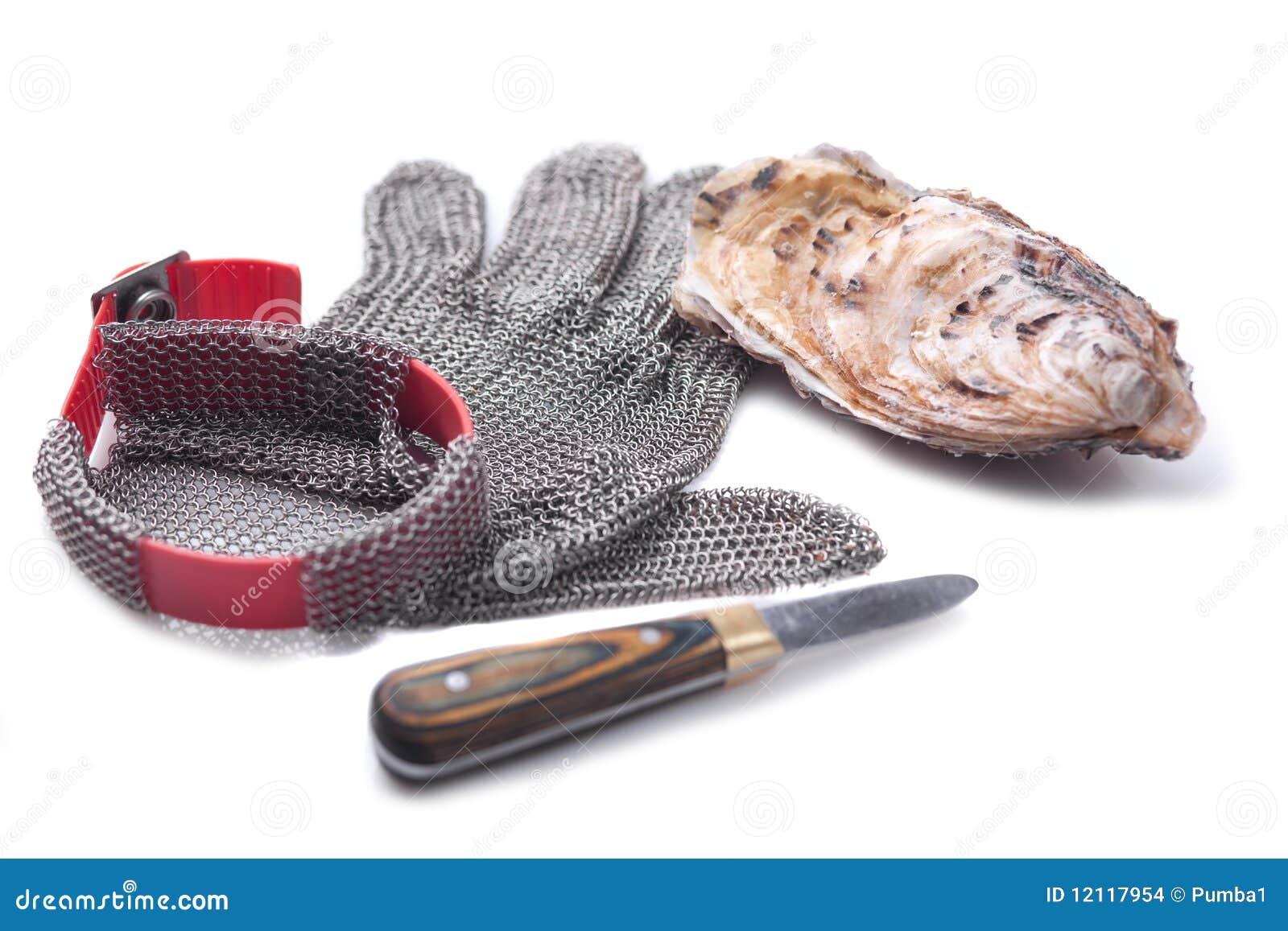 Gants à Chaînes Particulièrement Pour L'ouverture Des Huîtres Photo stock -  Image du seafood, nourriture: 12117954
