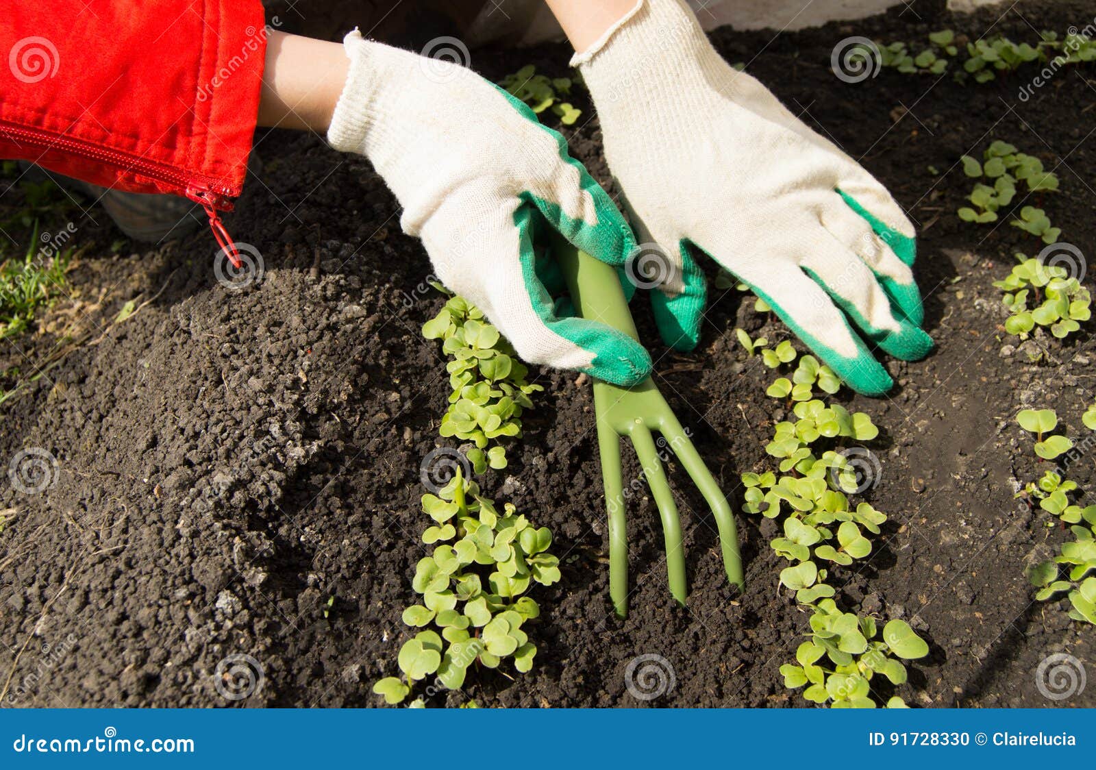 Gants De Jardinage De Port De Femme Jugeant Un Râteau Et Une Pelle,  Entretenant Des Usines Dans Le Jardin Photo stock - Image du herbe, trame:  91728330