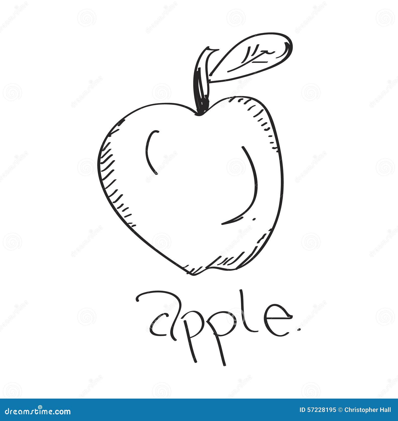 Garabato Simple De Una Manzana Ilustración del Vector - Ilustración de  alimento, bocado: 57228195, image size:1600x1690