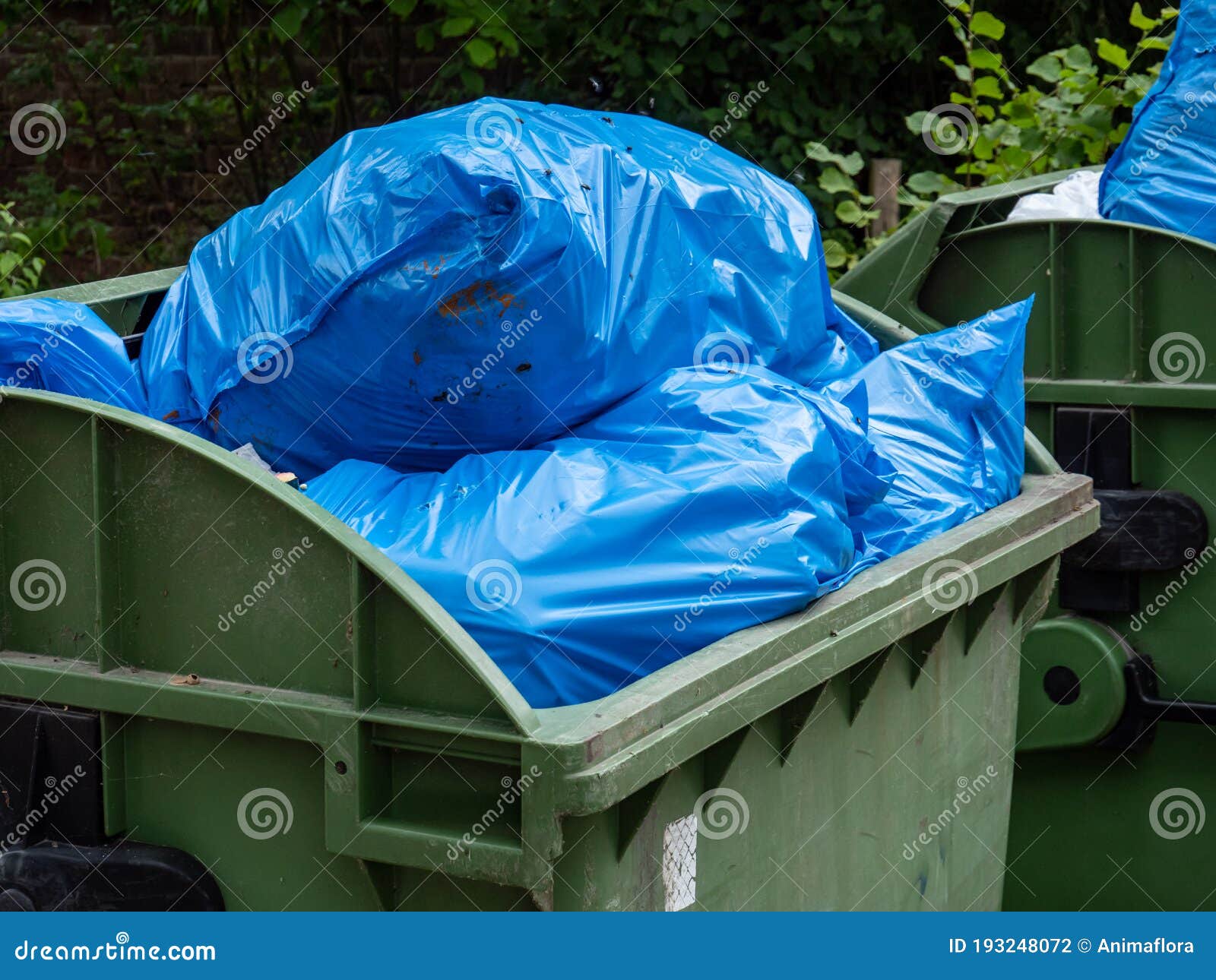 Garbage bags in the park stock photo. Image of bags 193248072