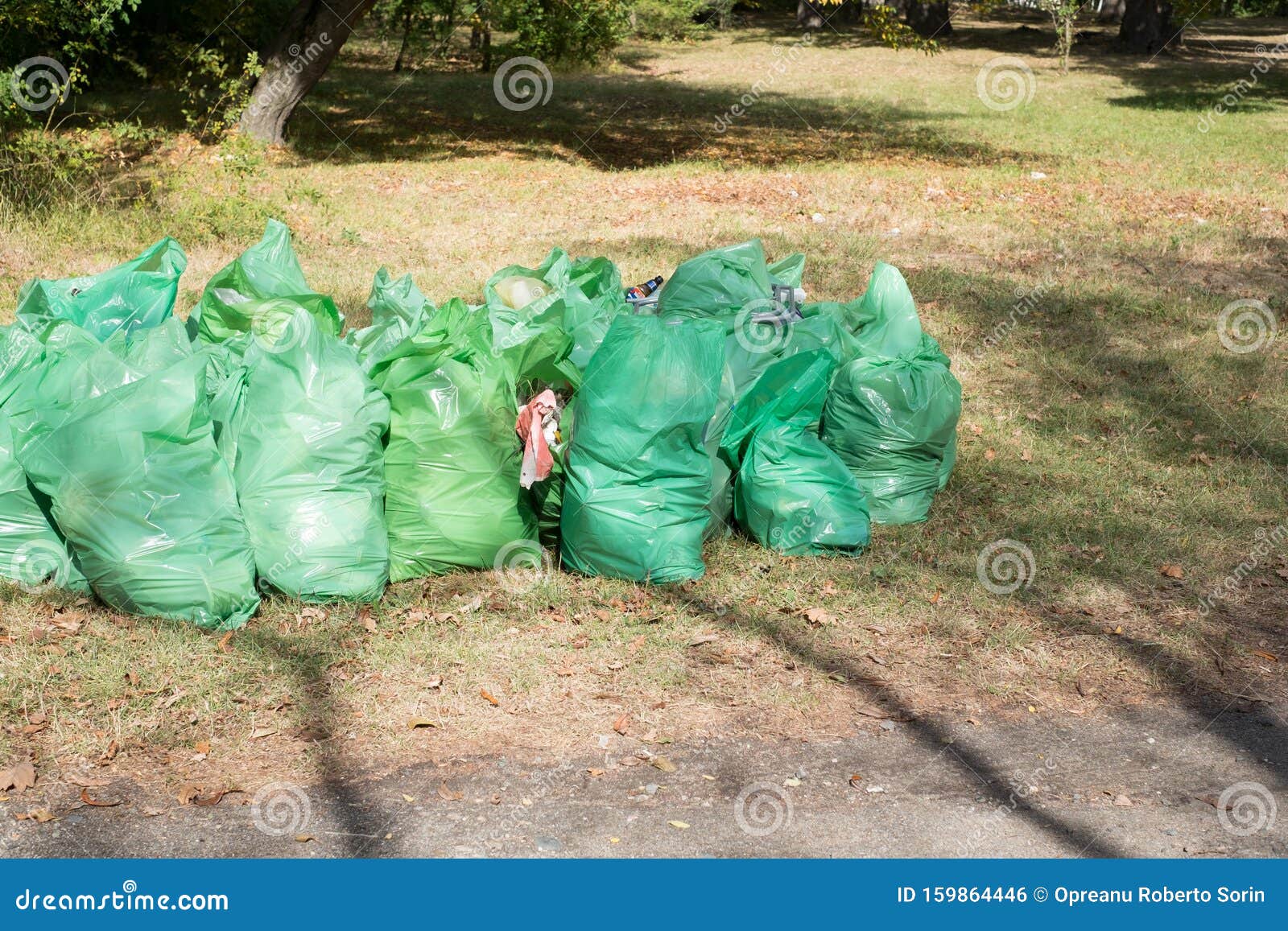 https://thumbs.dreamstime.com/z/garbage-bags-thrown-forest-green-159864446.jpg