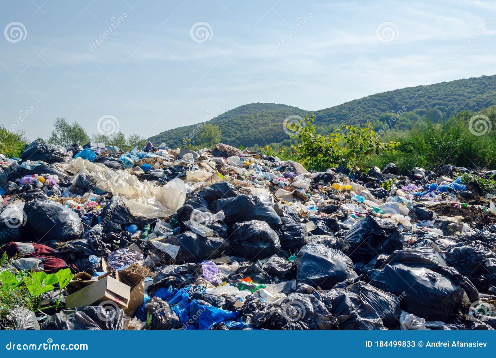 Garbage Dump on a Background of Mountains, Environmental Pollution